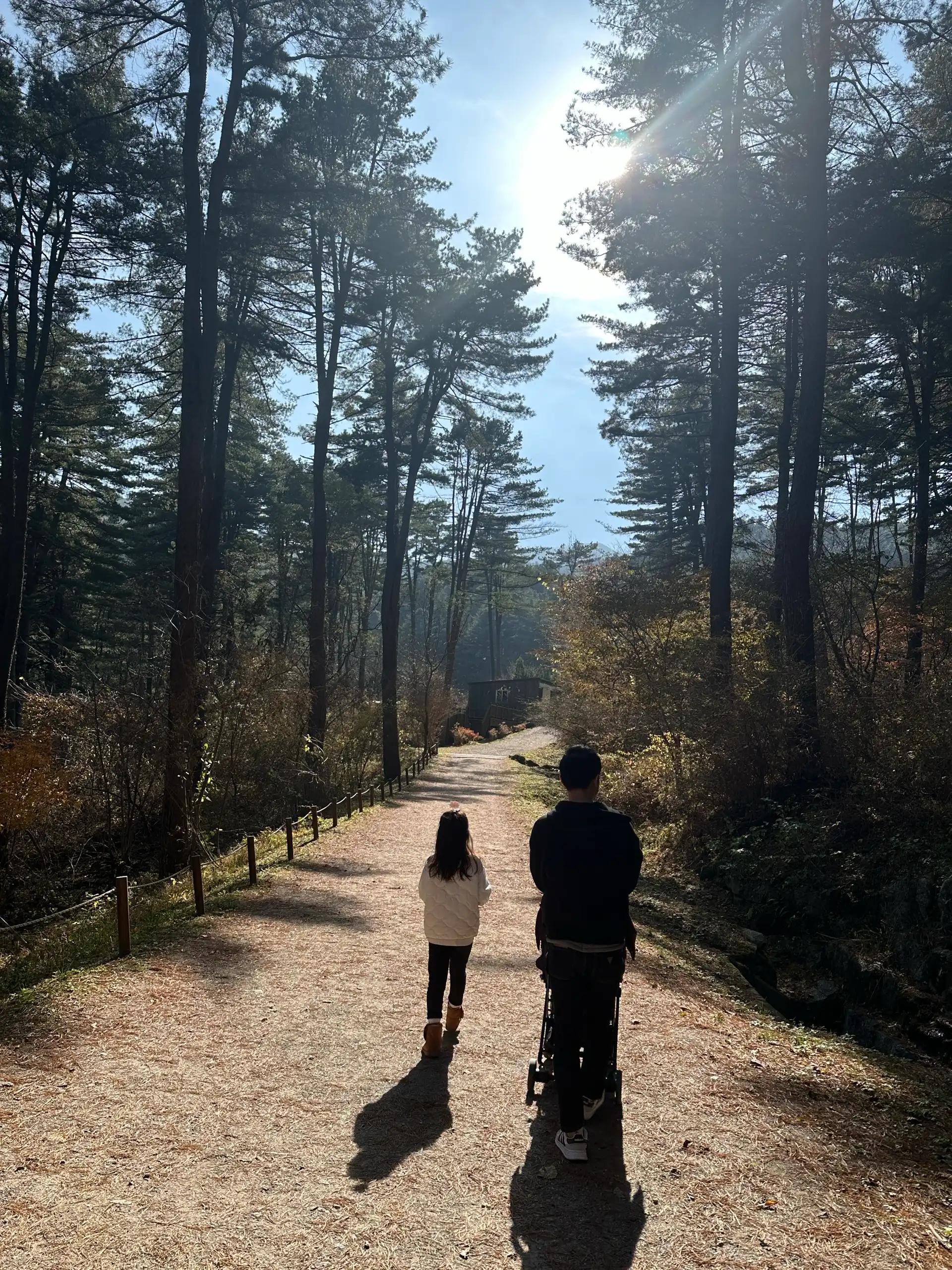 크루톡 이미지 3