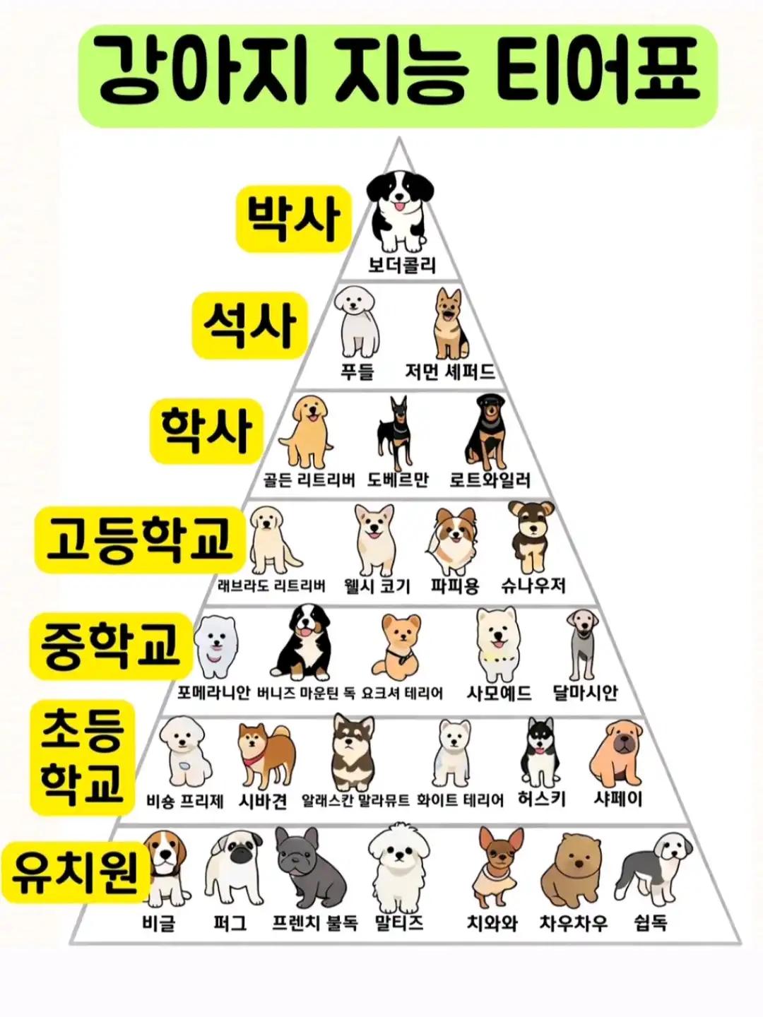 크루톡 이미지 1