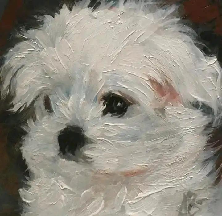 크루톡 이미지 2