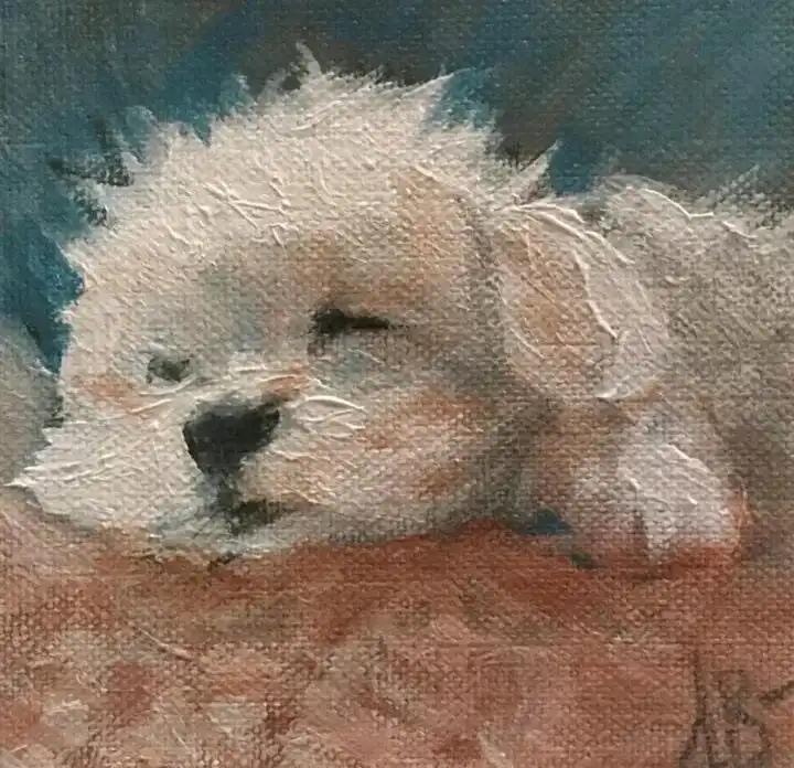 크루톡 이미지 3