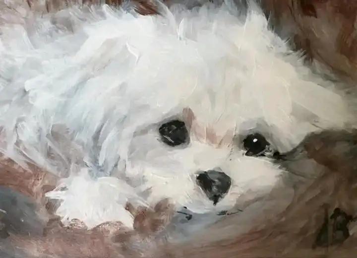 크루톡 이미지 4