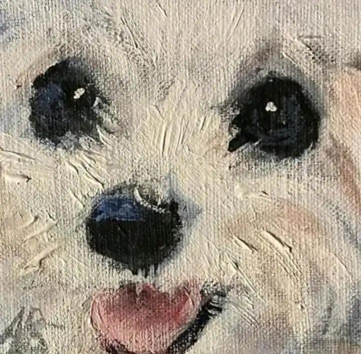 크루톡 이미지 5