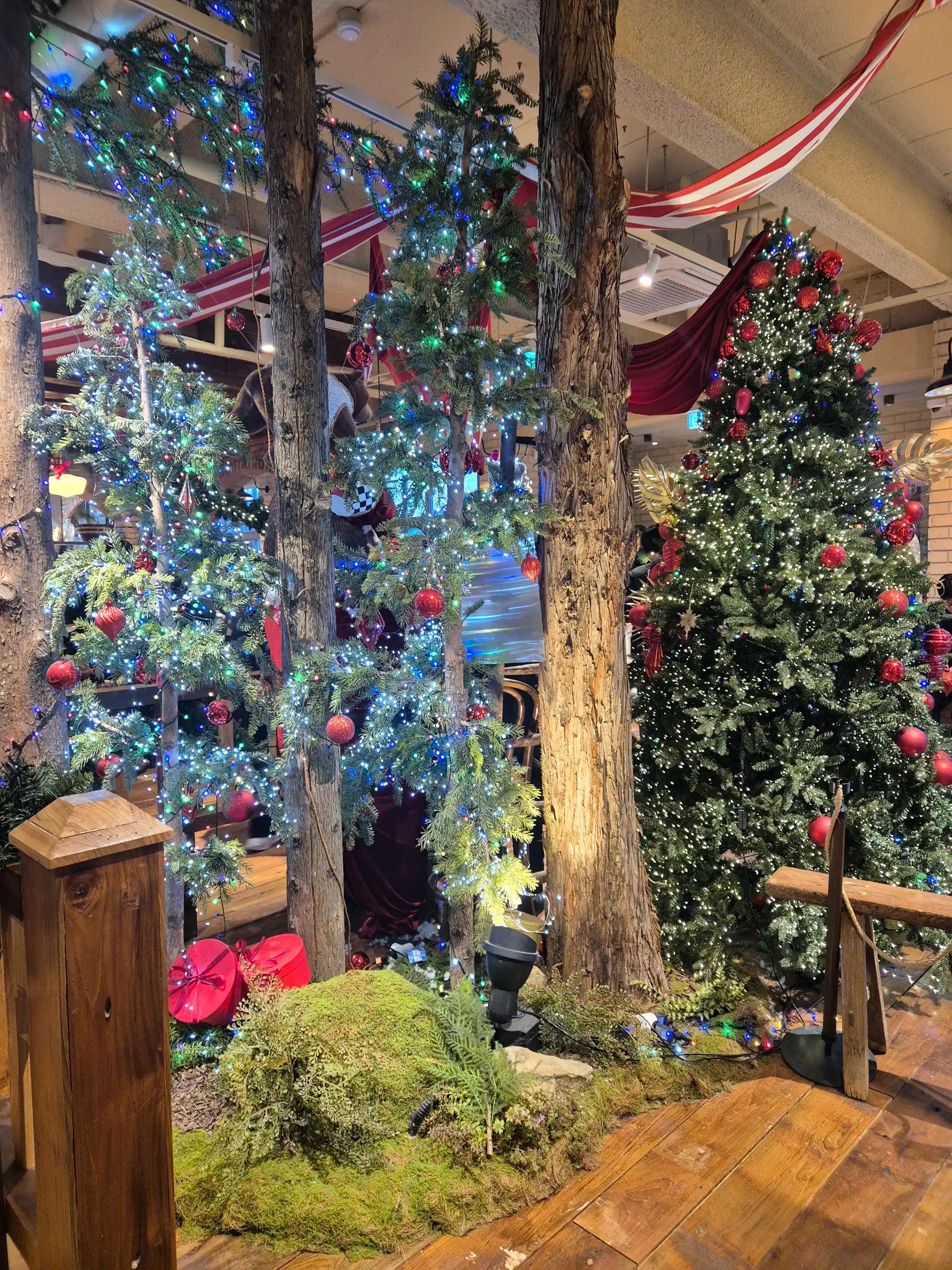 크루톡 이미지 2