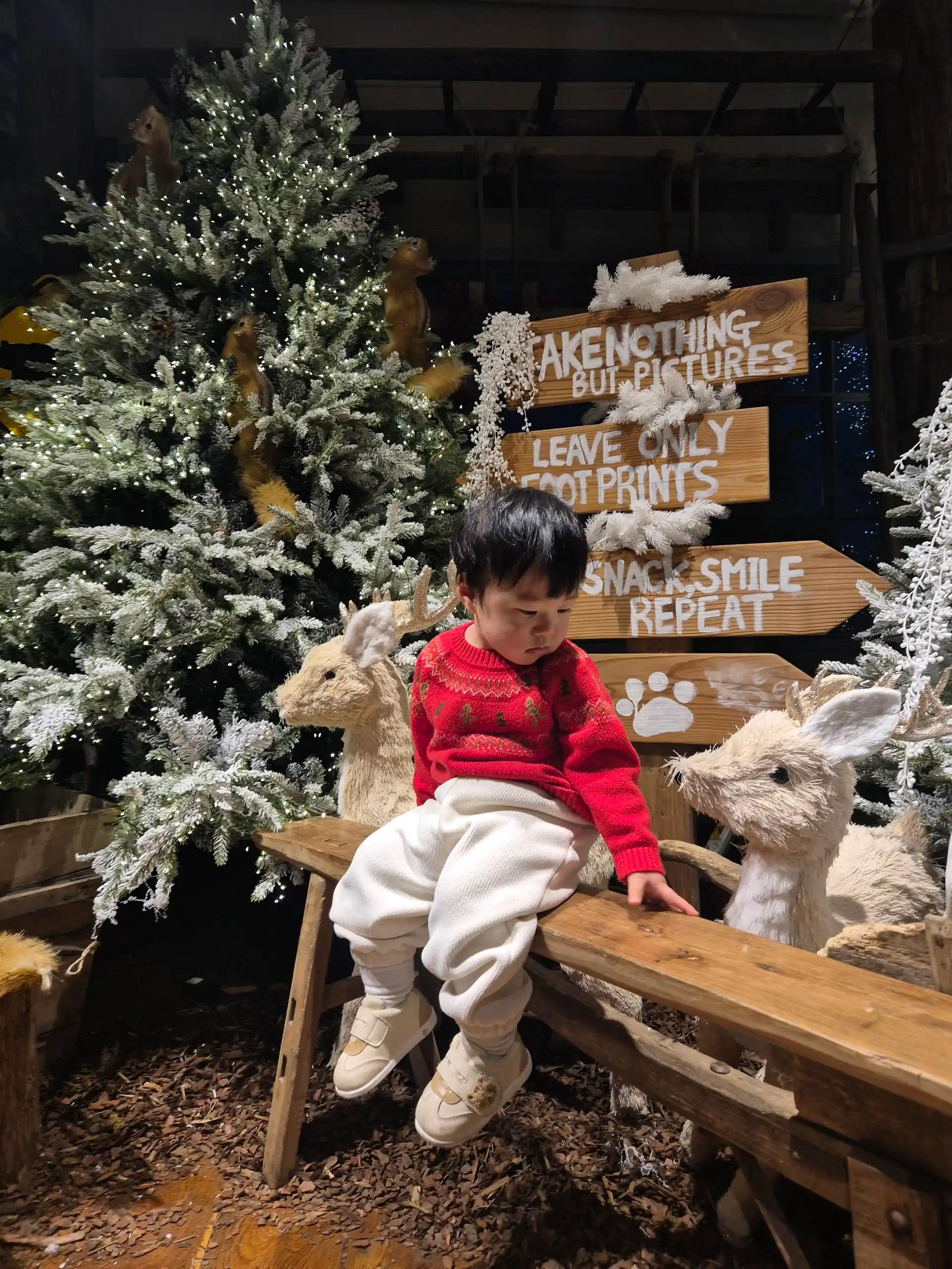 크루톡 이미지 4