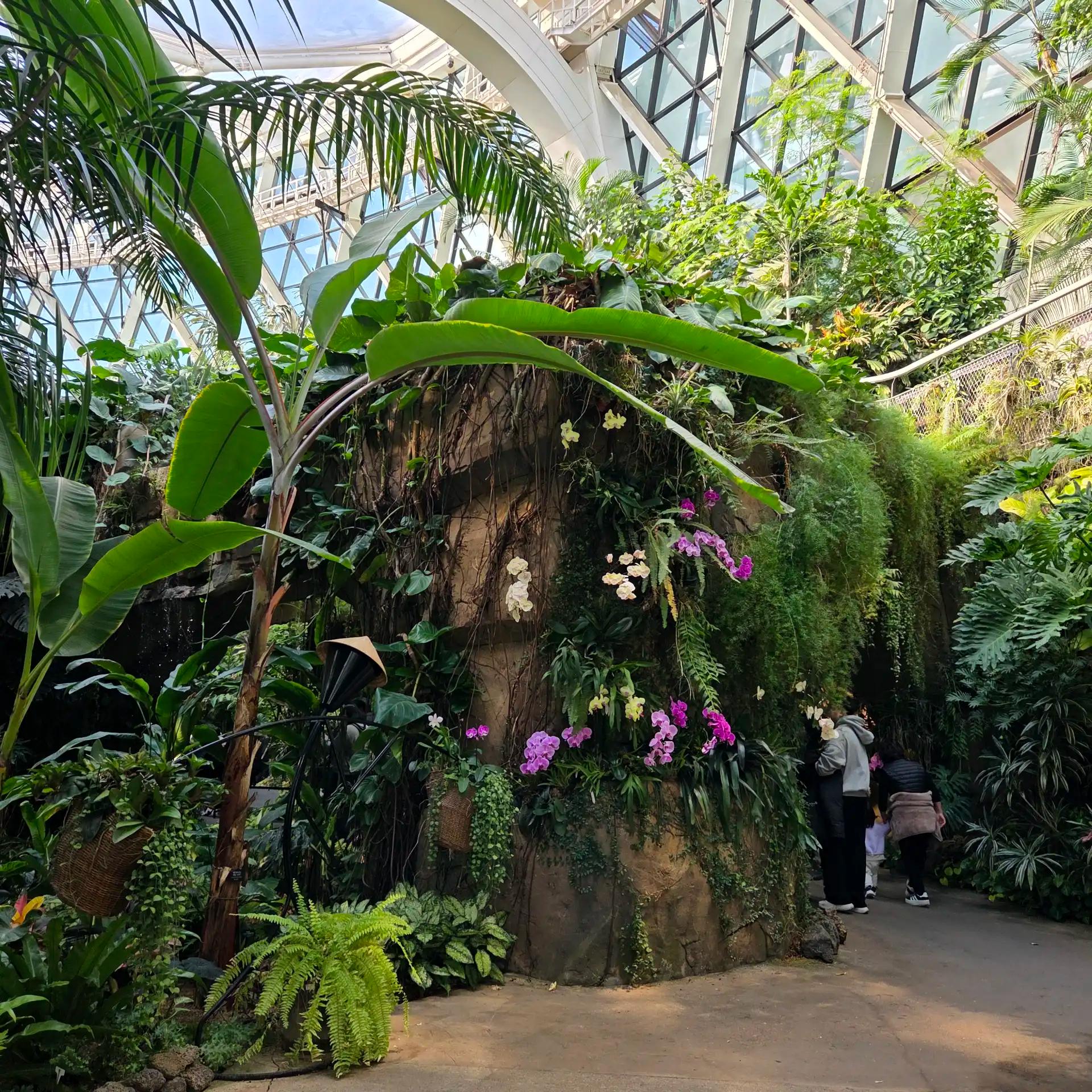 크루톡 이미지 4