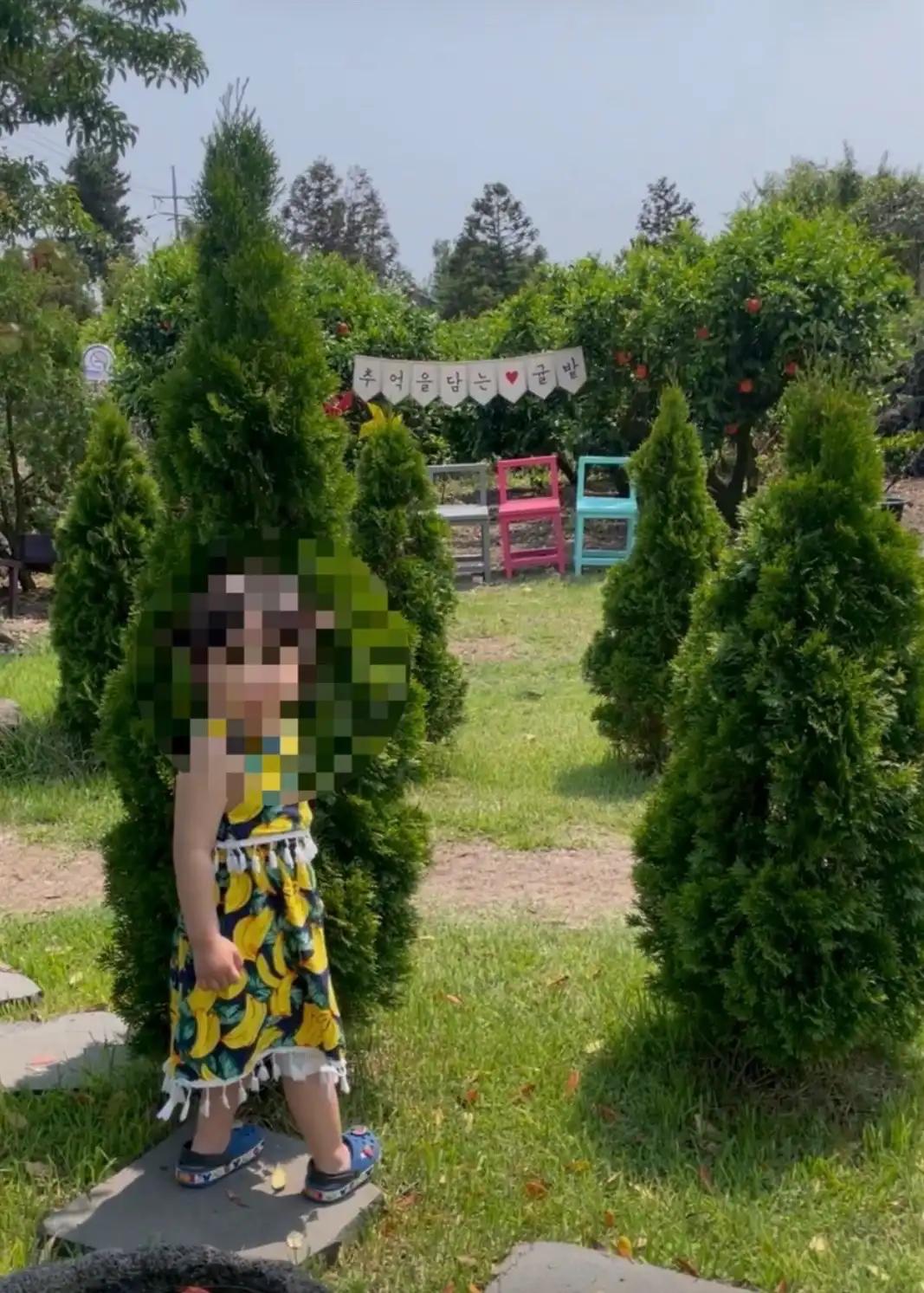 크루톡 이미지 2