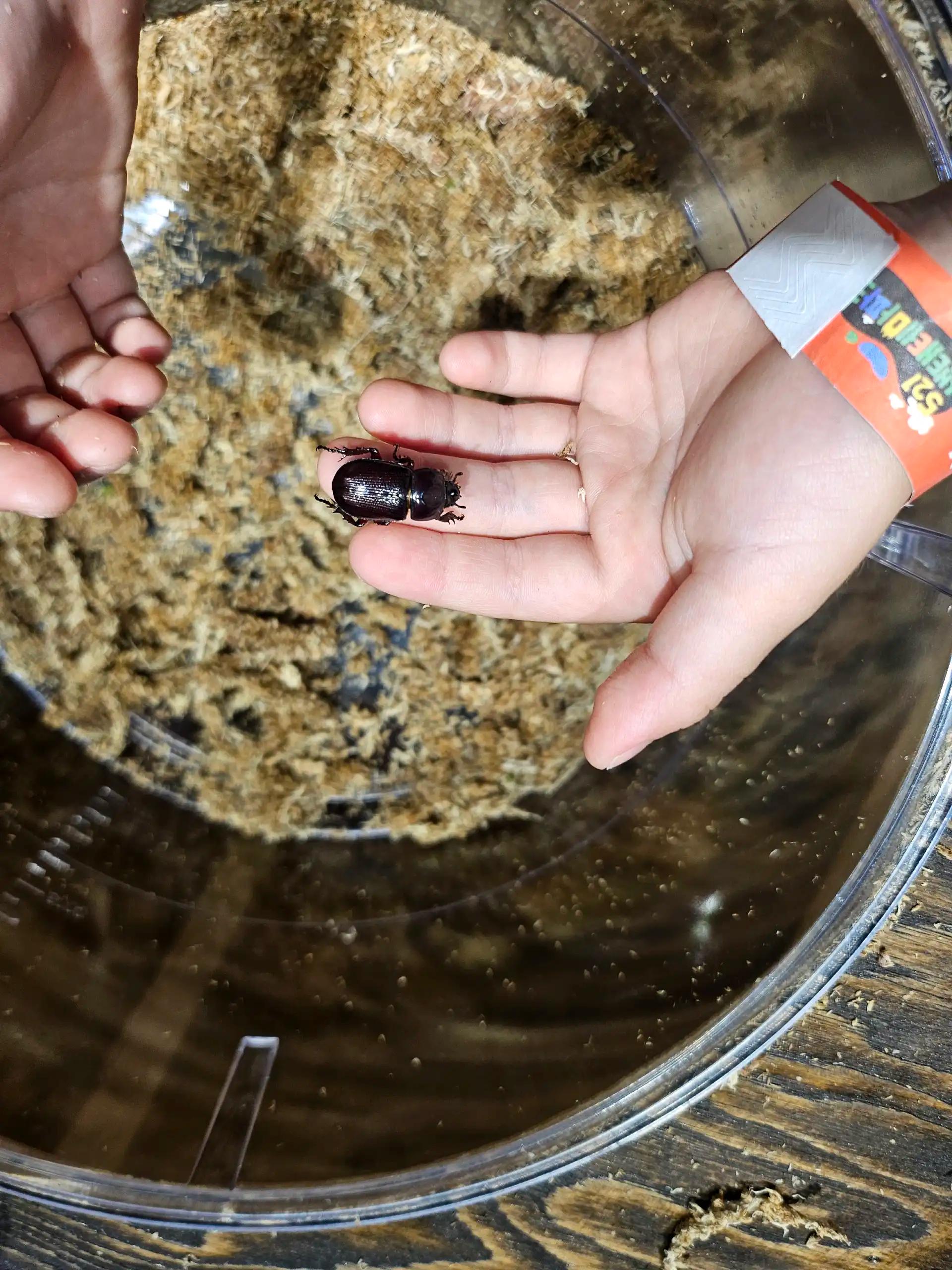 크루톡 이미지 2