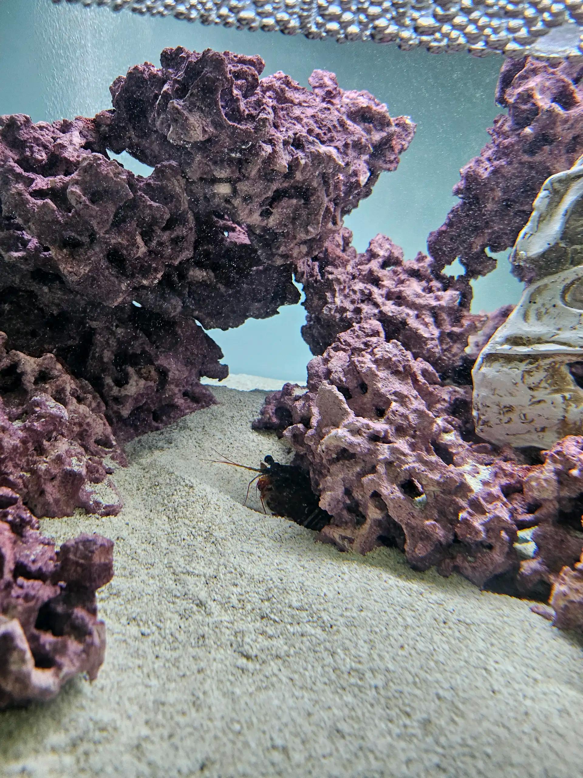 크루톡 이미지 3