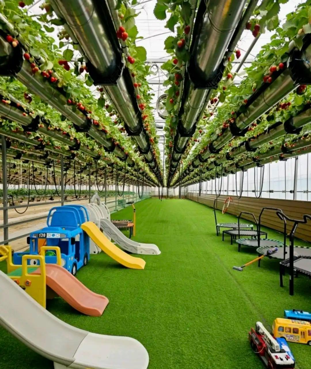 크루톡 이미지 1