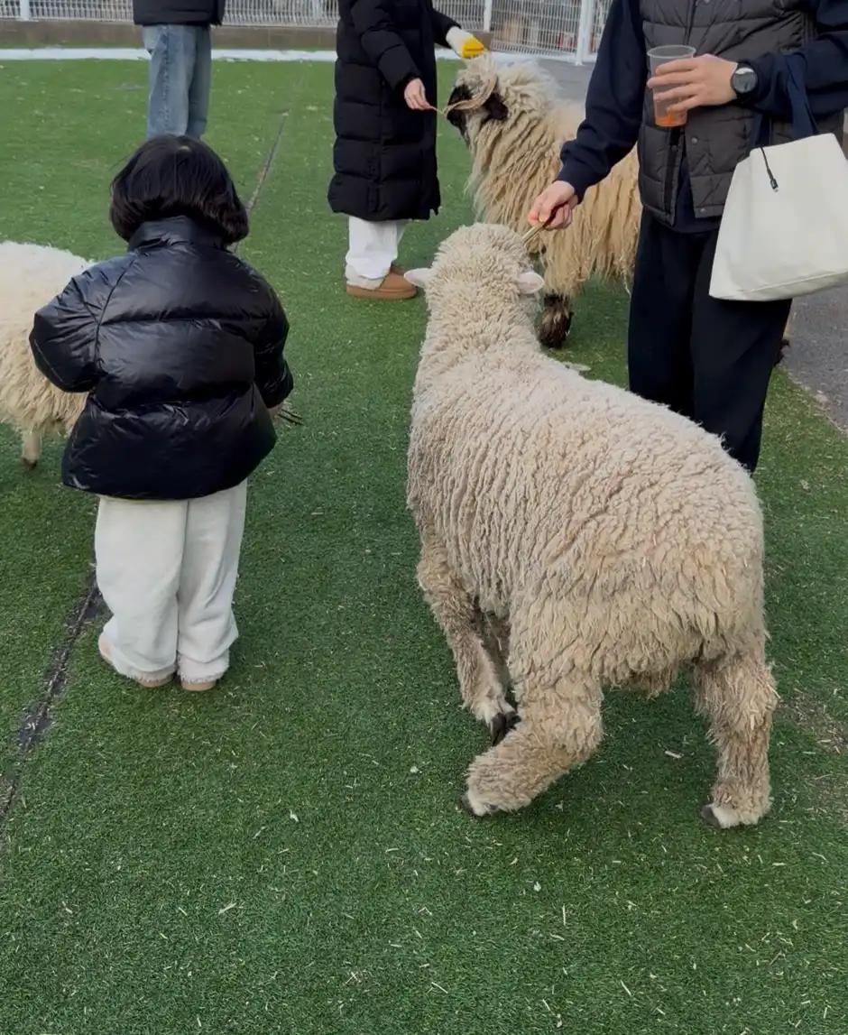 크루톡 이미지 2