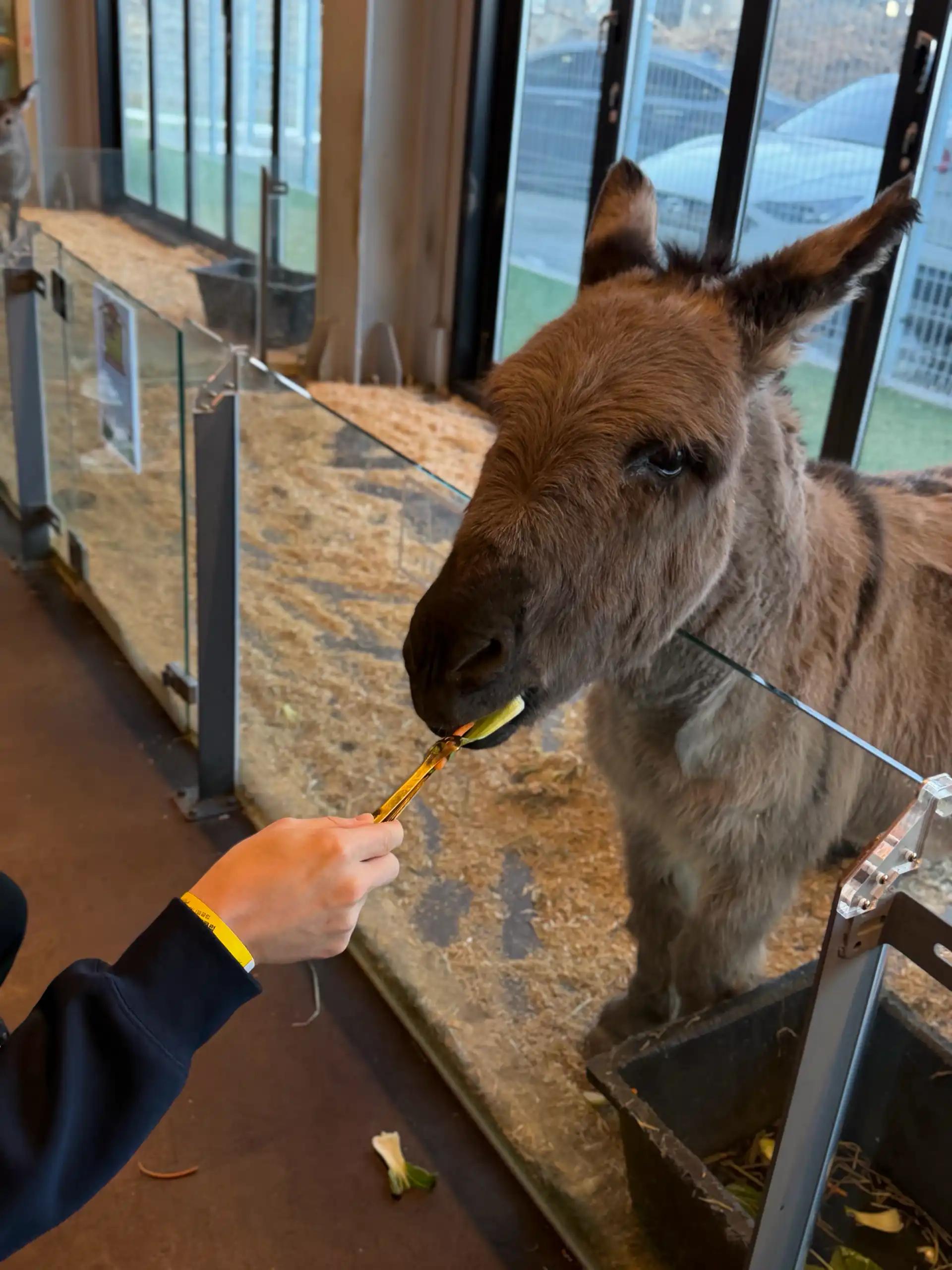 크루톡 이미지 3