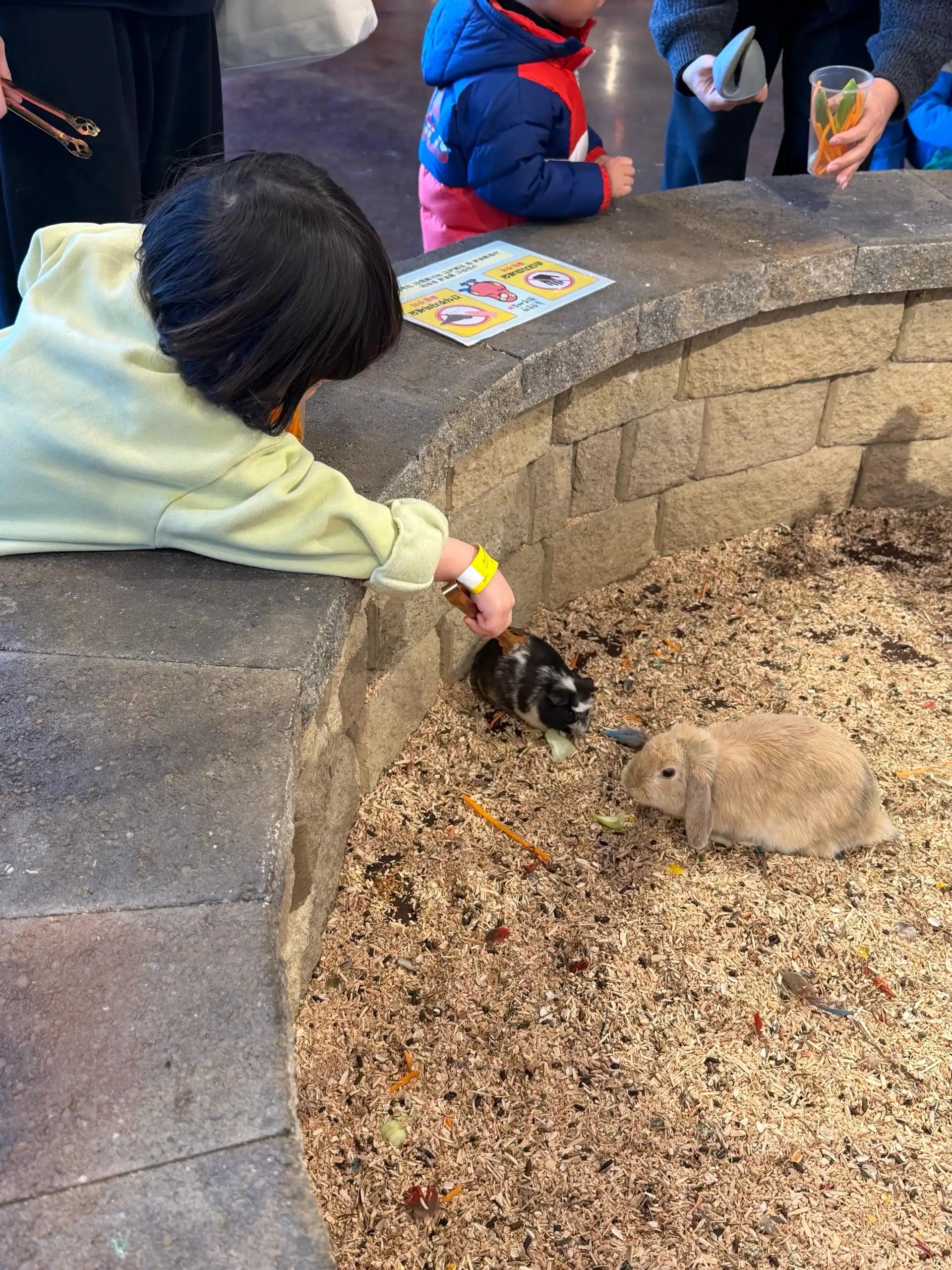 크루톡 이미지 5