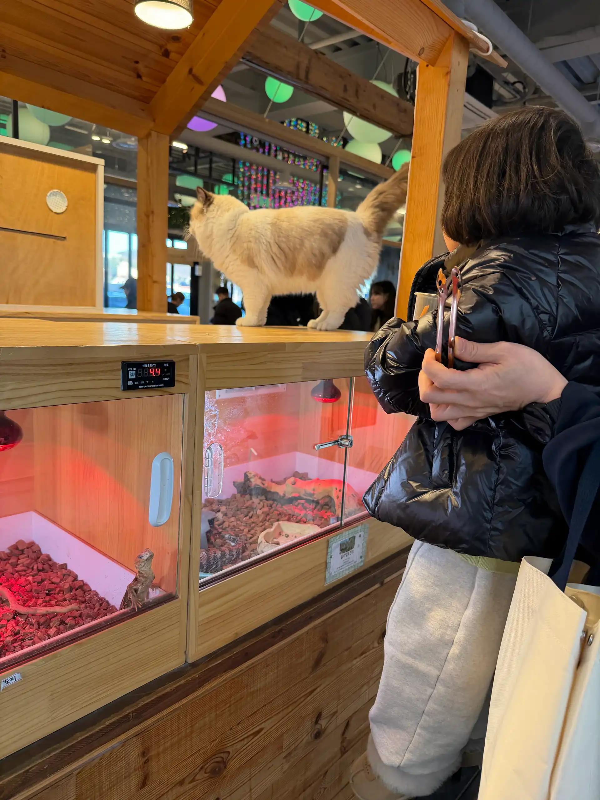 크루톡 이미지 6