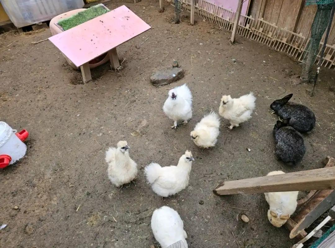 크루톡 이미지 6