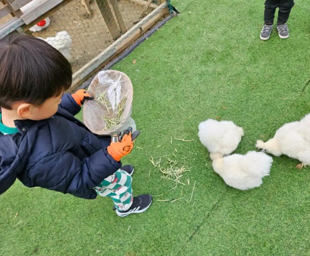 크루톡 이미지 7