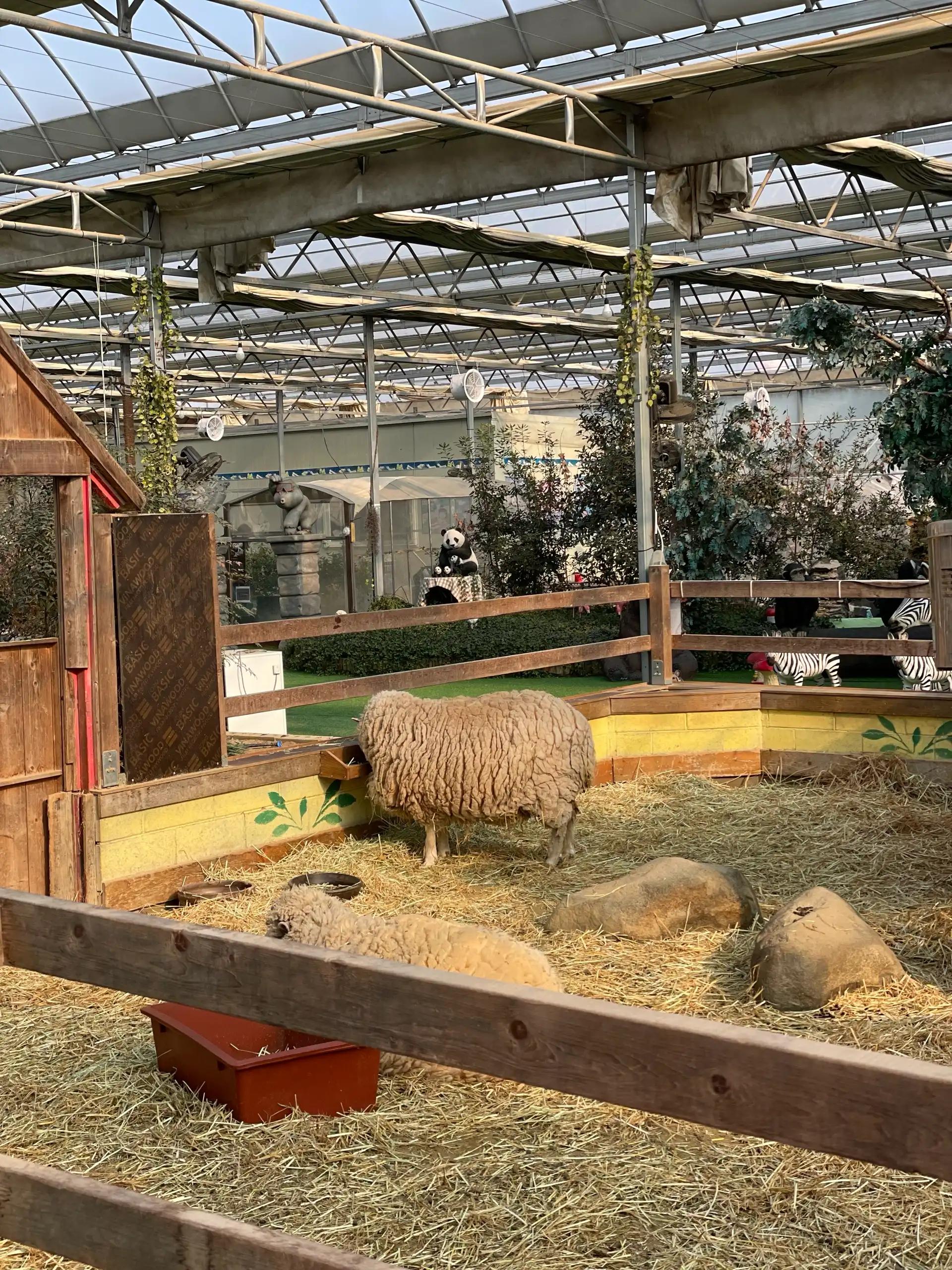 크루톡 이미지 3