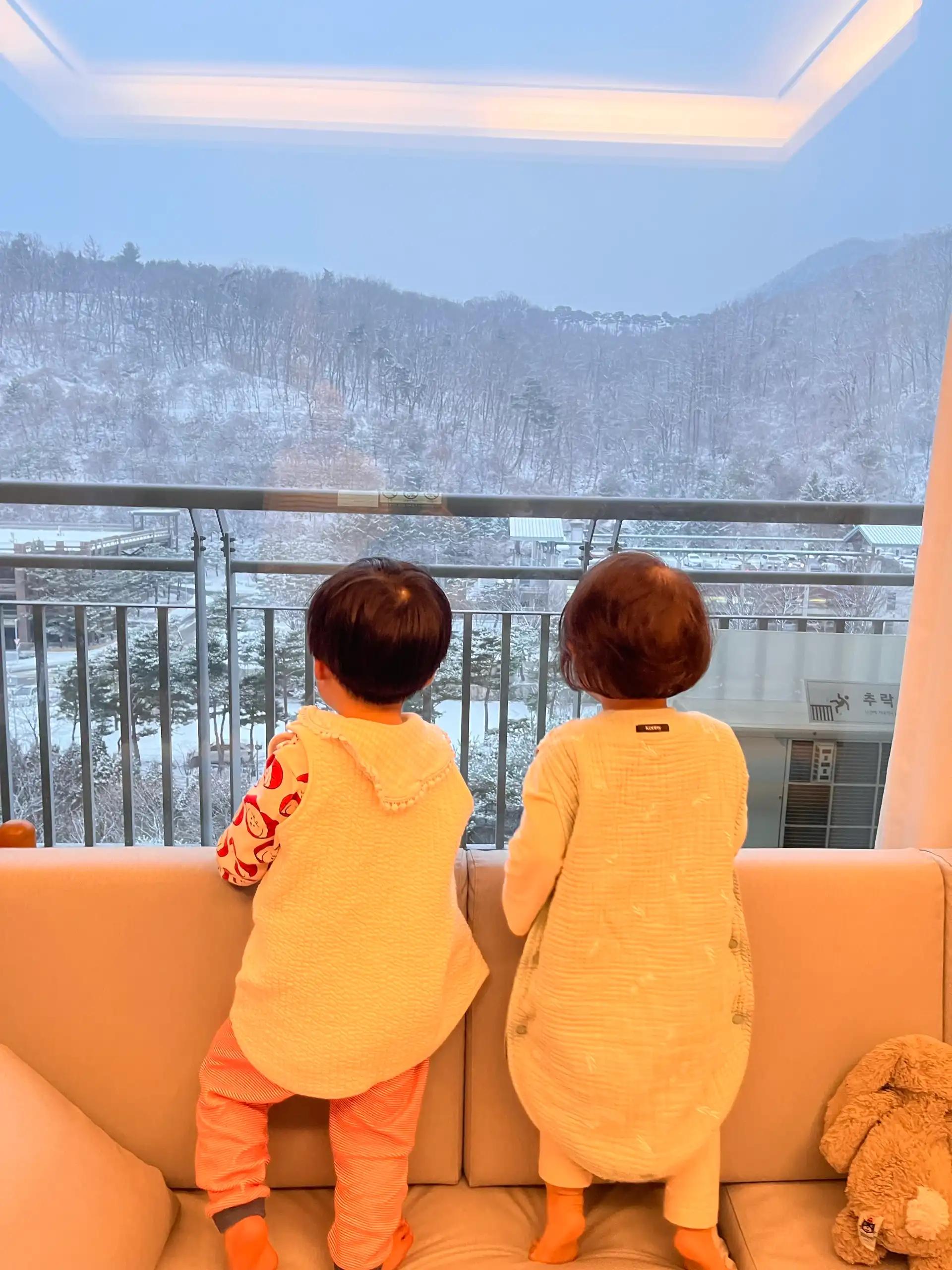 크루톡 이미지 4