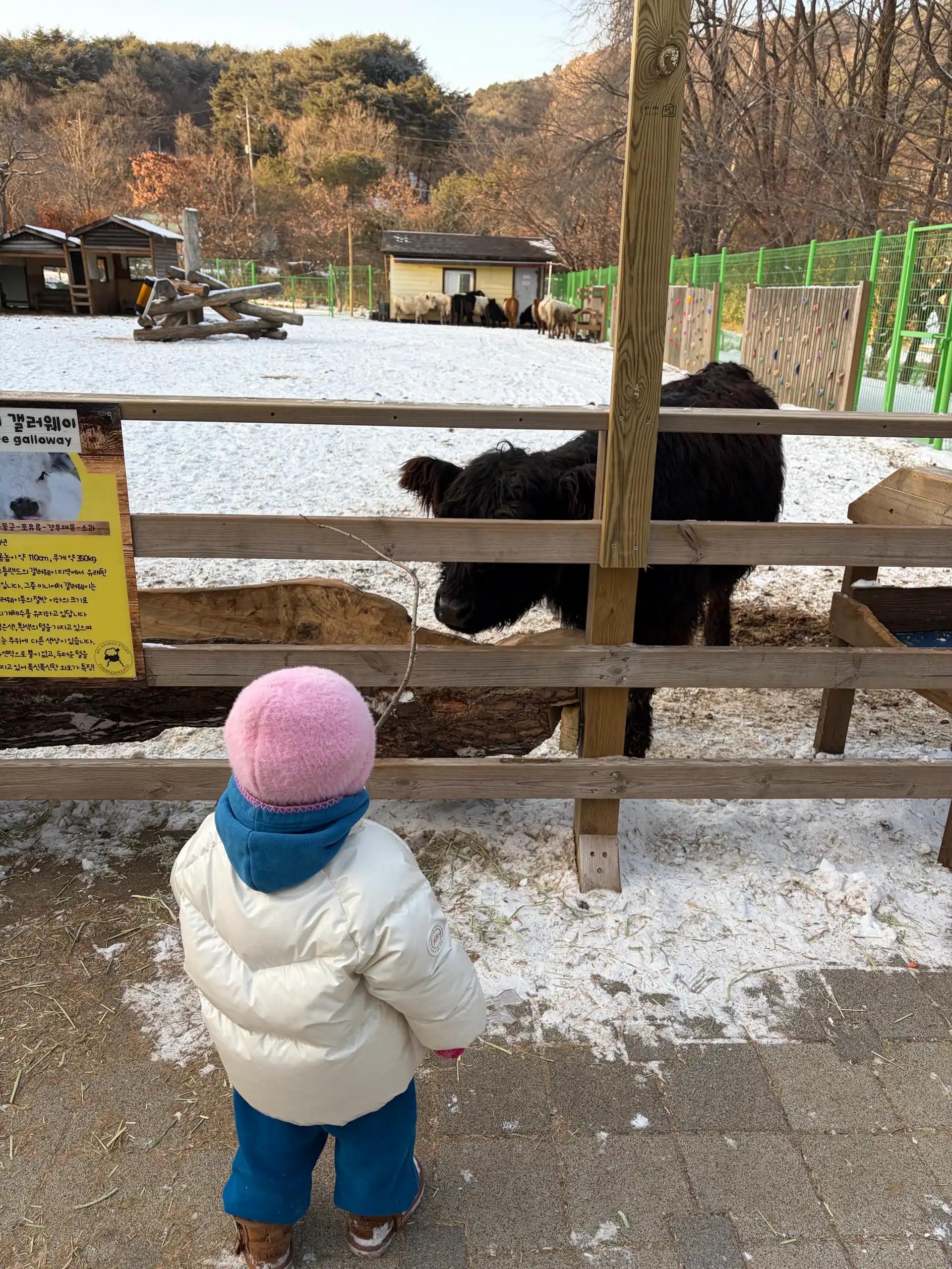 크루톡 이미지 1