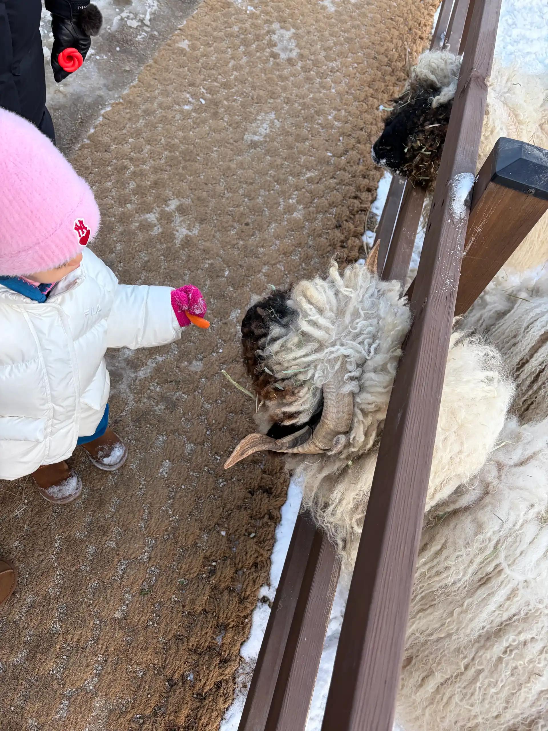 크루톡 이미지 2