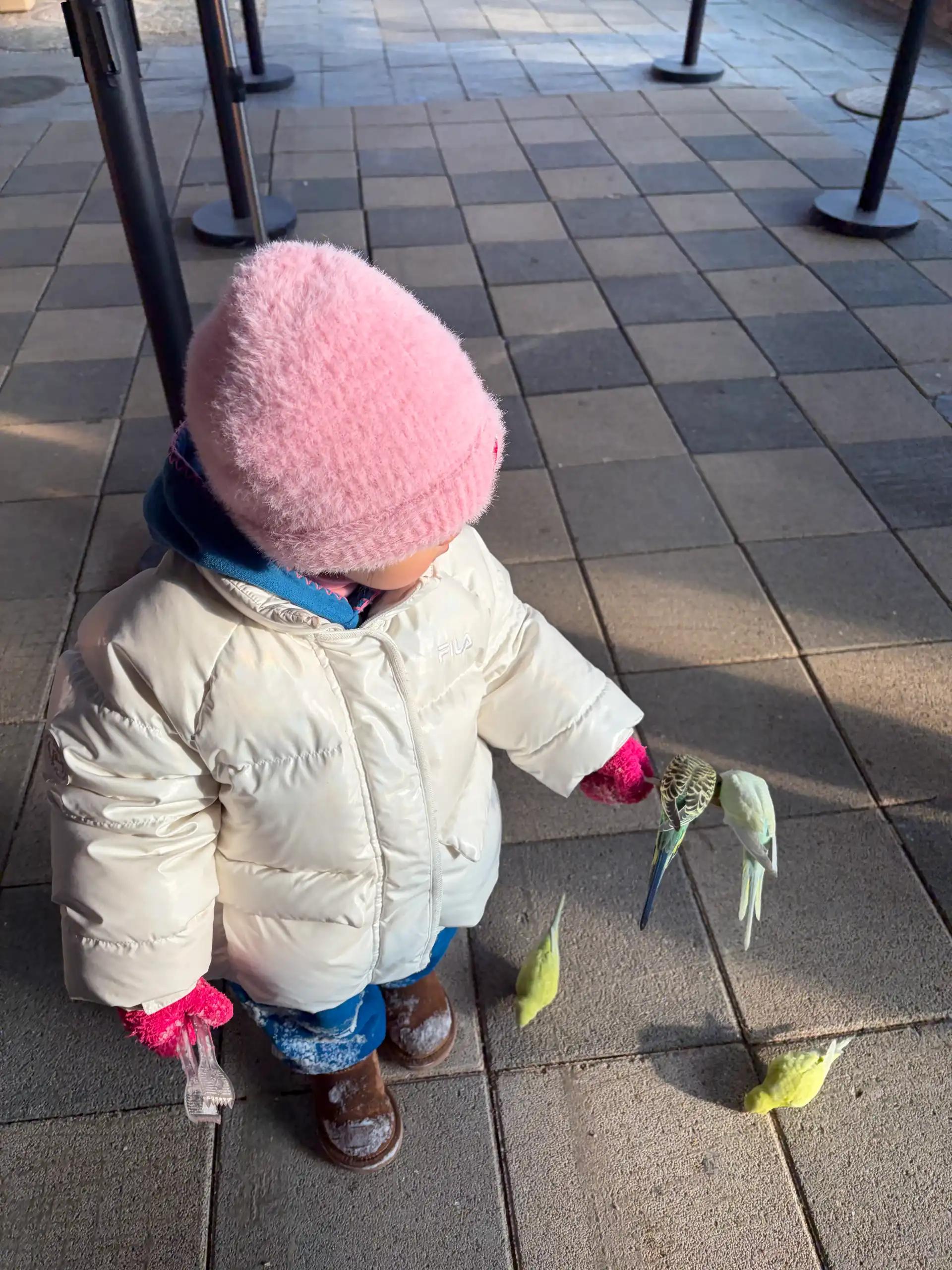 크루톡 이미지 3