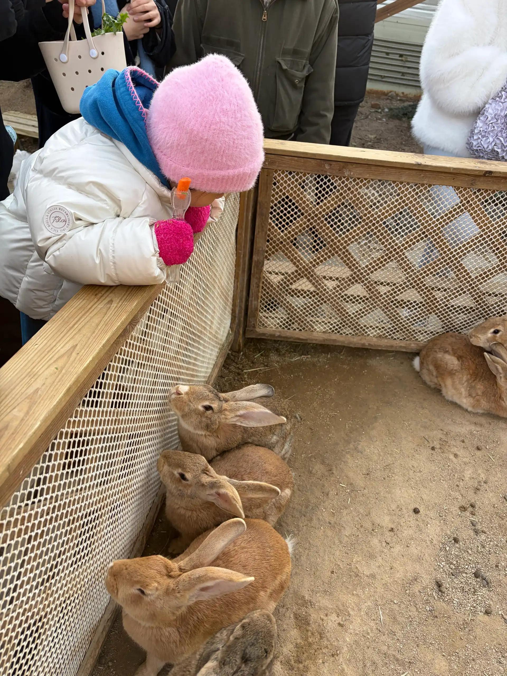 크루톡 이미지 4