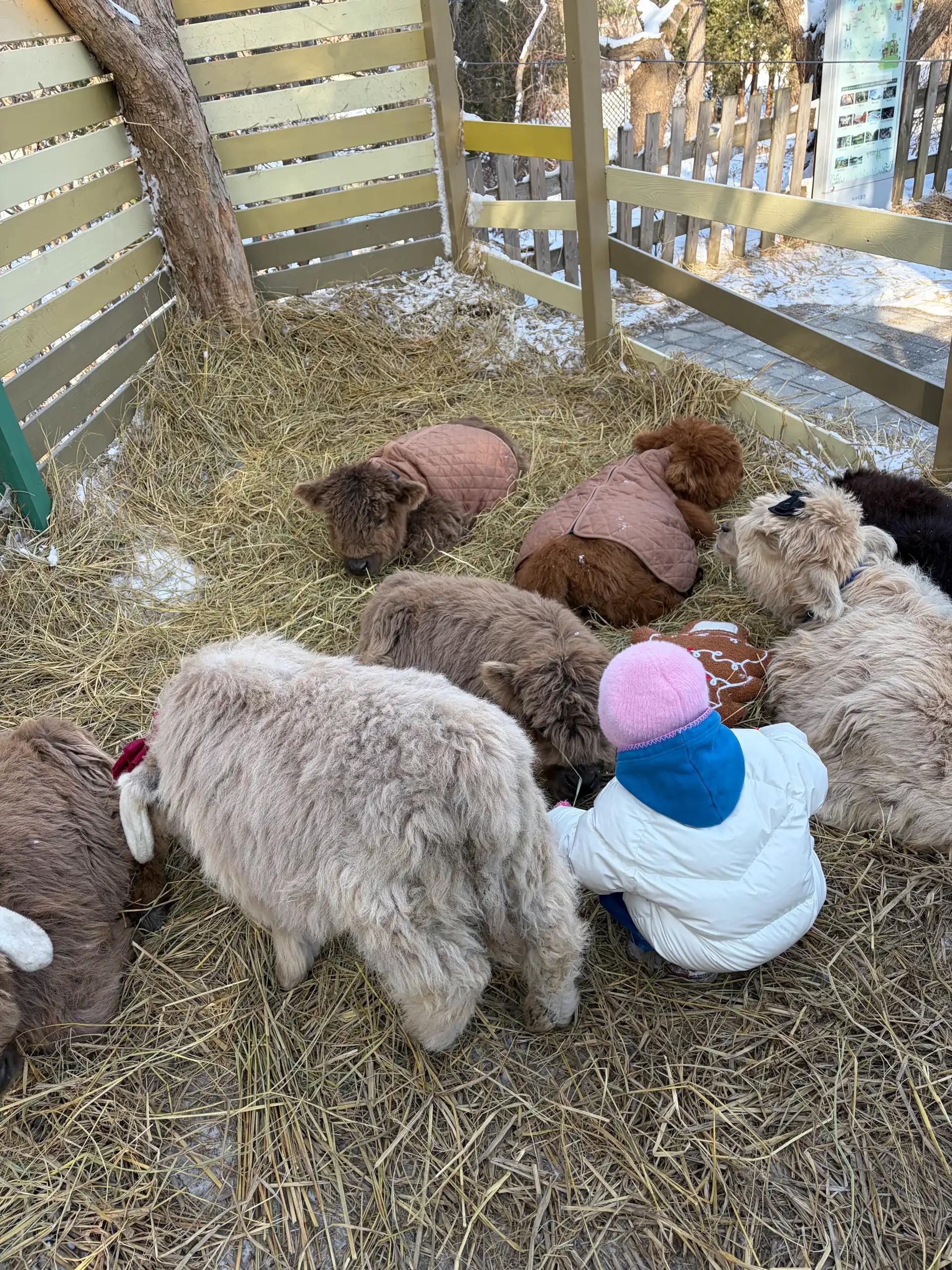 크루톡 이미지 5