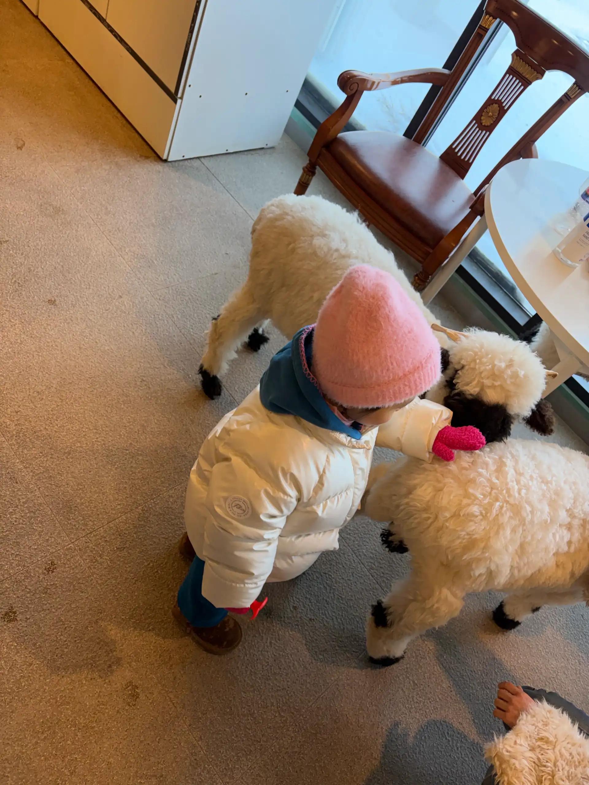 크루톡 이미지 6