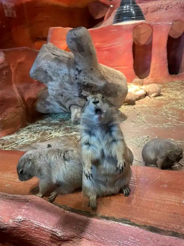 크루톡 이미지 3