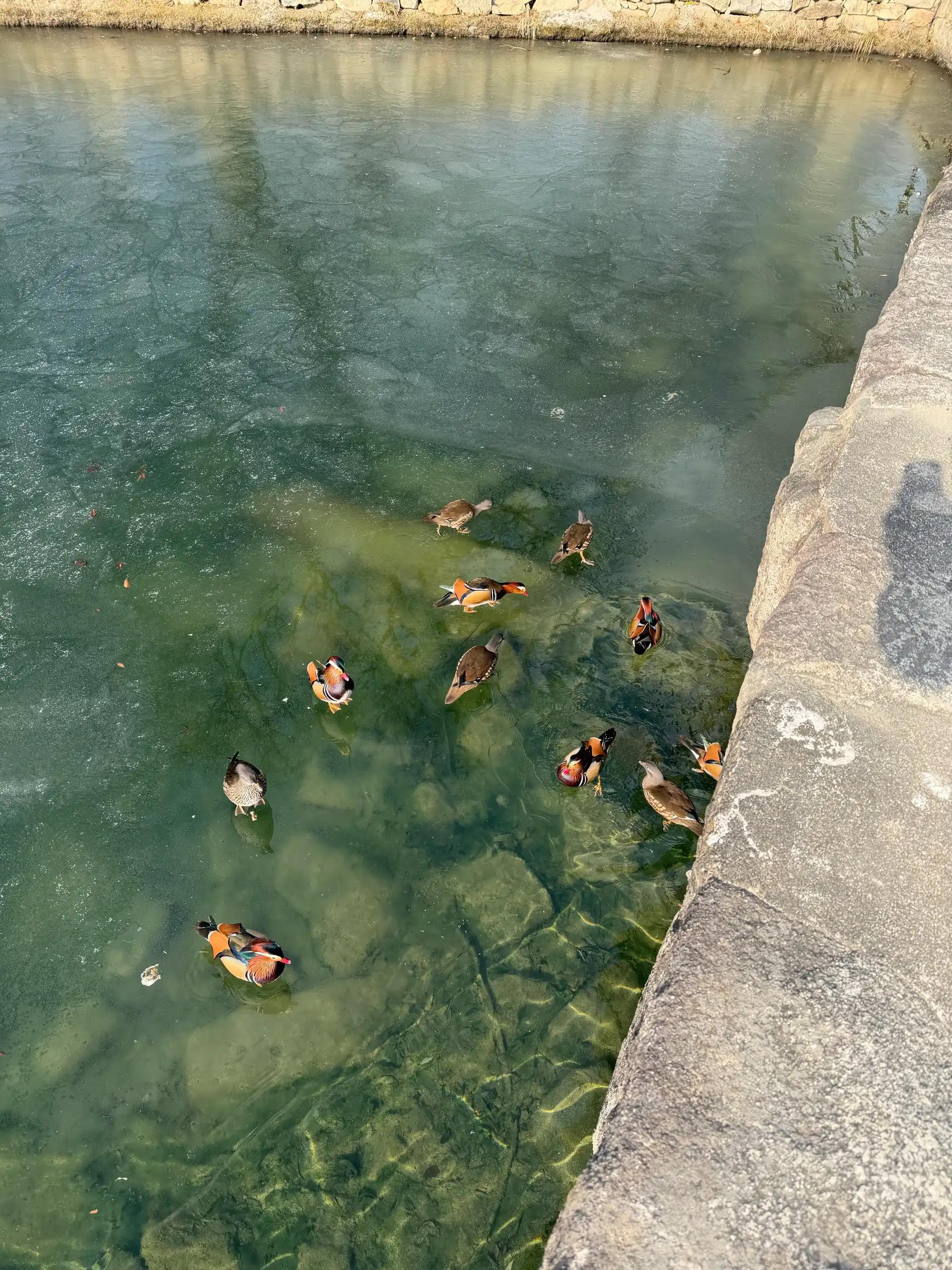 크루톡 이미지 2