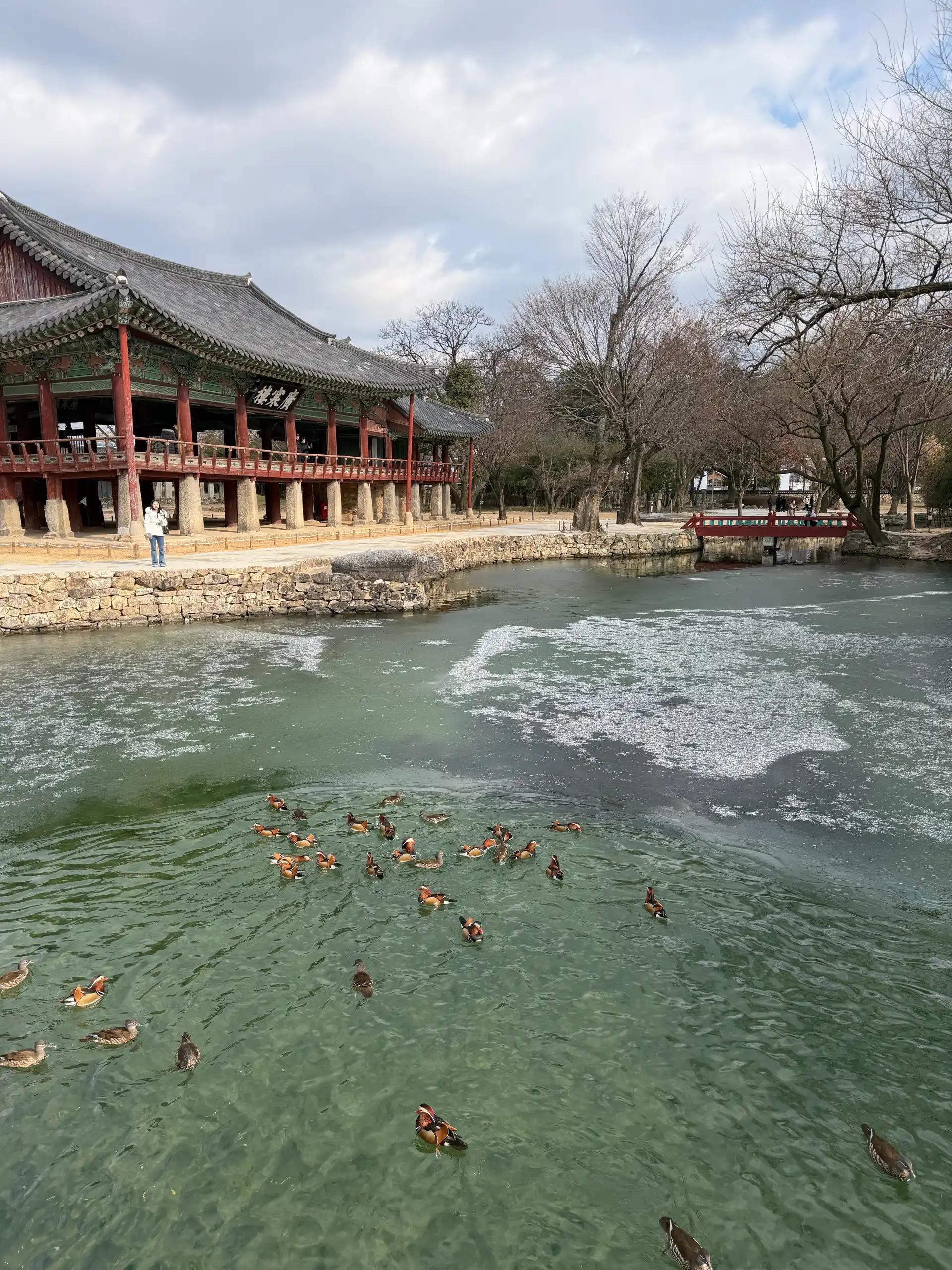 크루톡 이미지 6