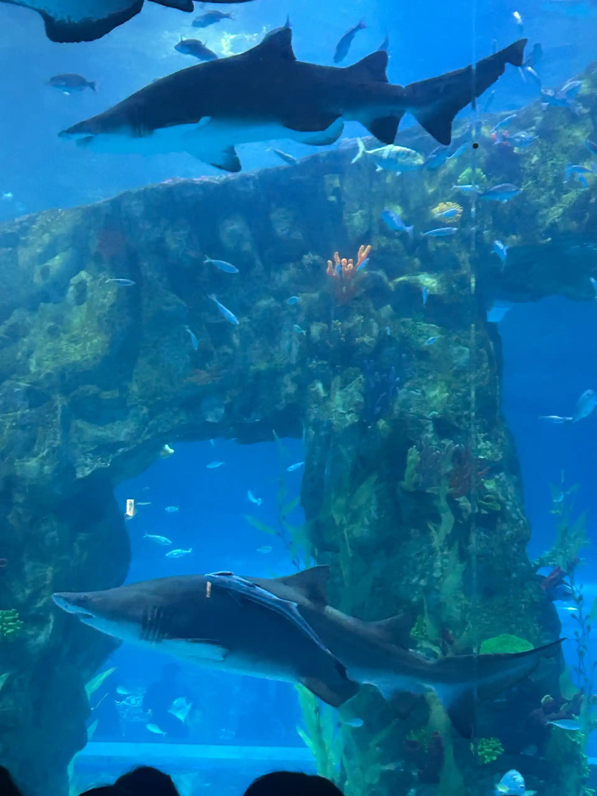 크루톡 이미지 3