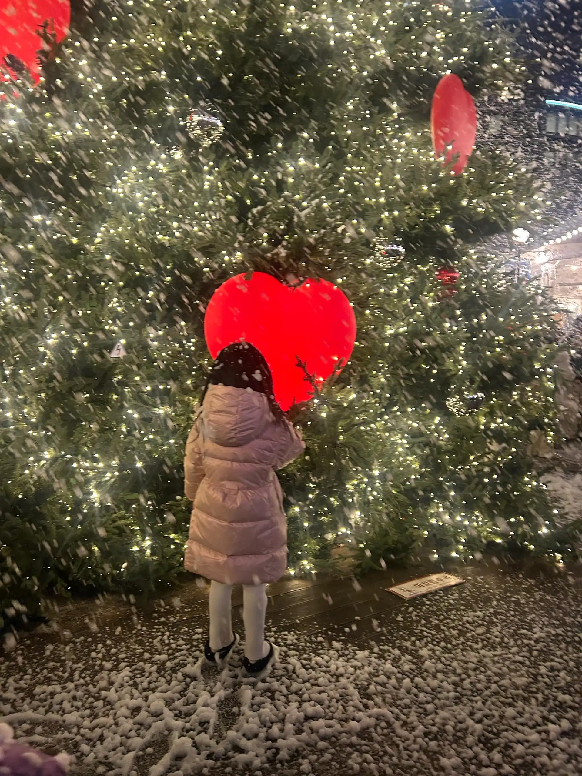 크루톡 이미지 7