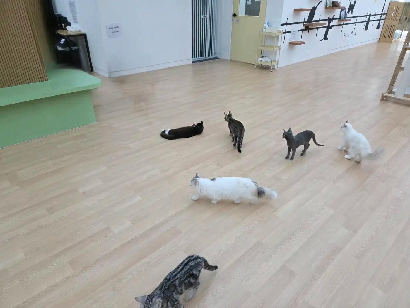 크루톡 이미지 2