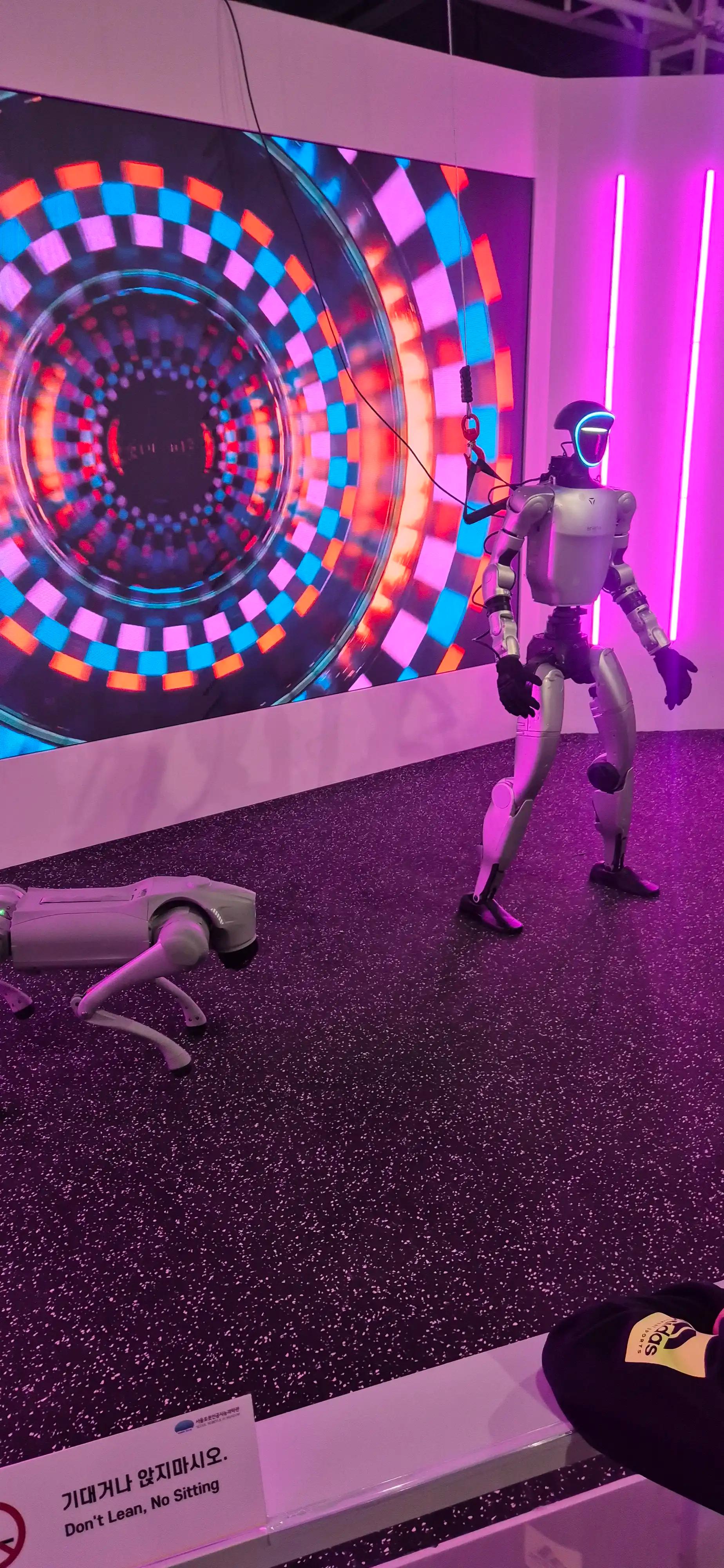 크루톡 이미지 3