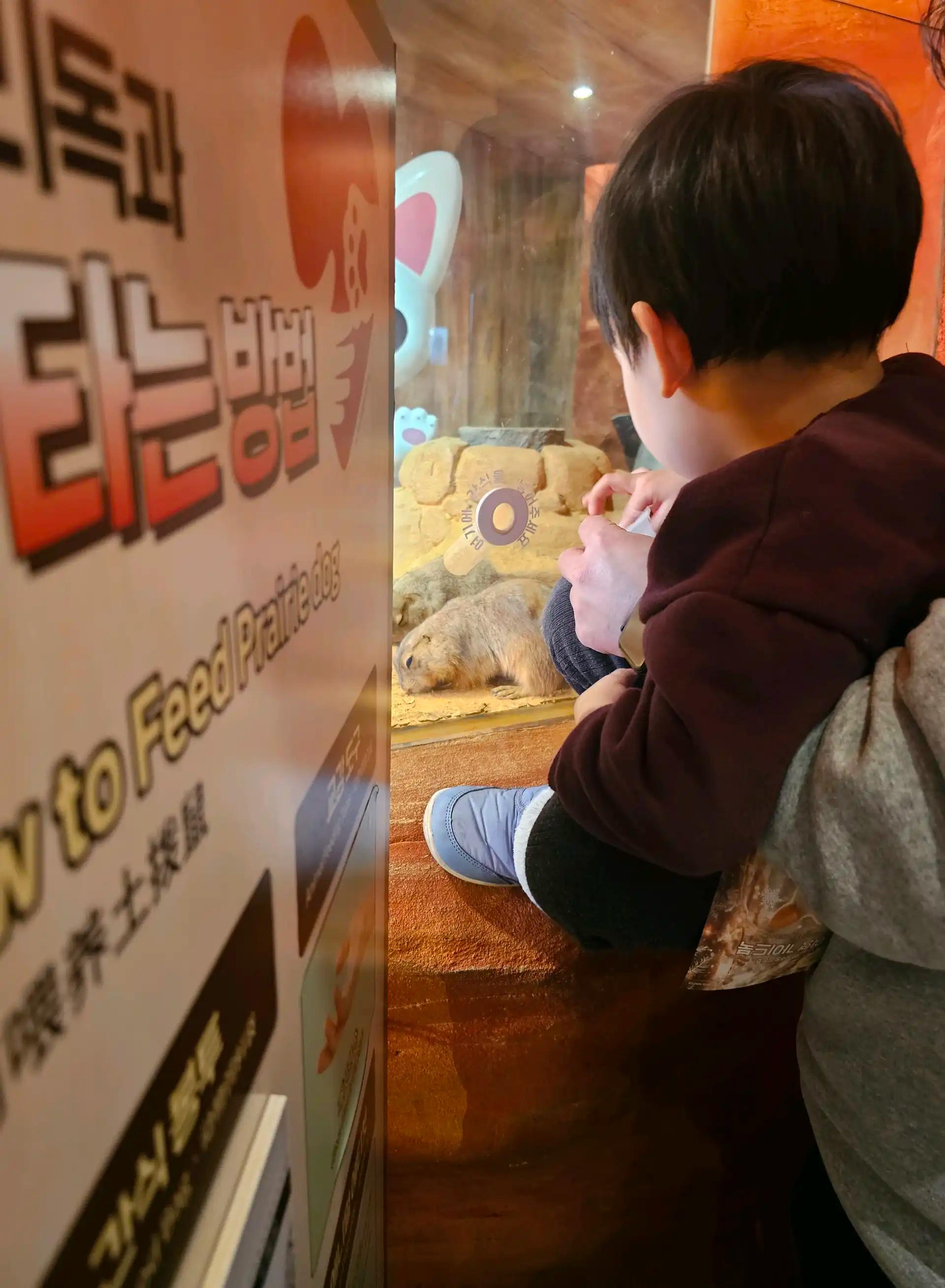 크루톡 이미지 3