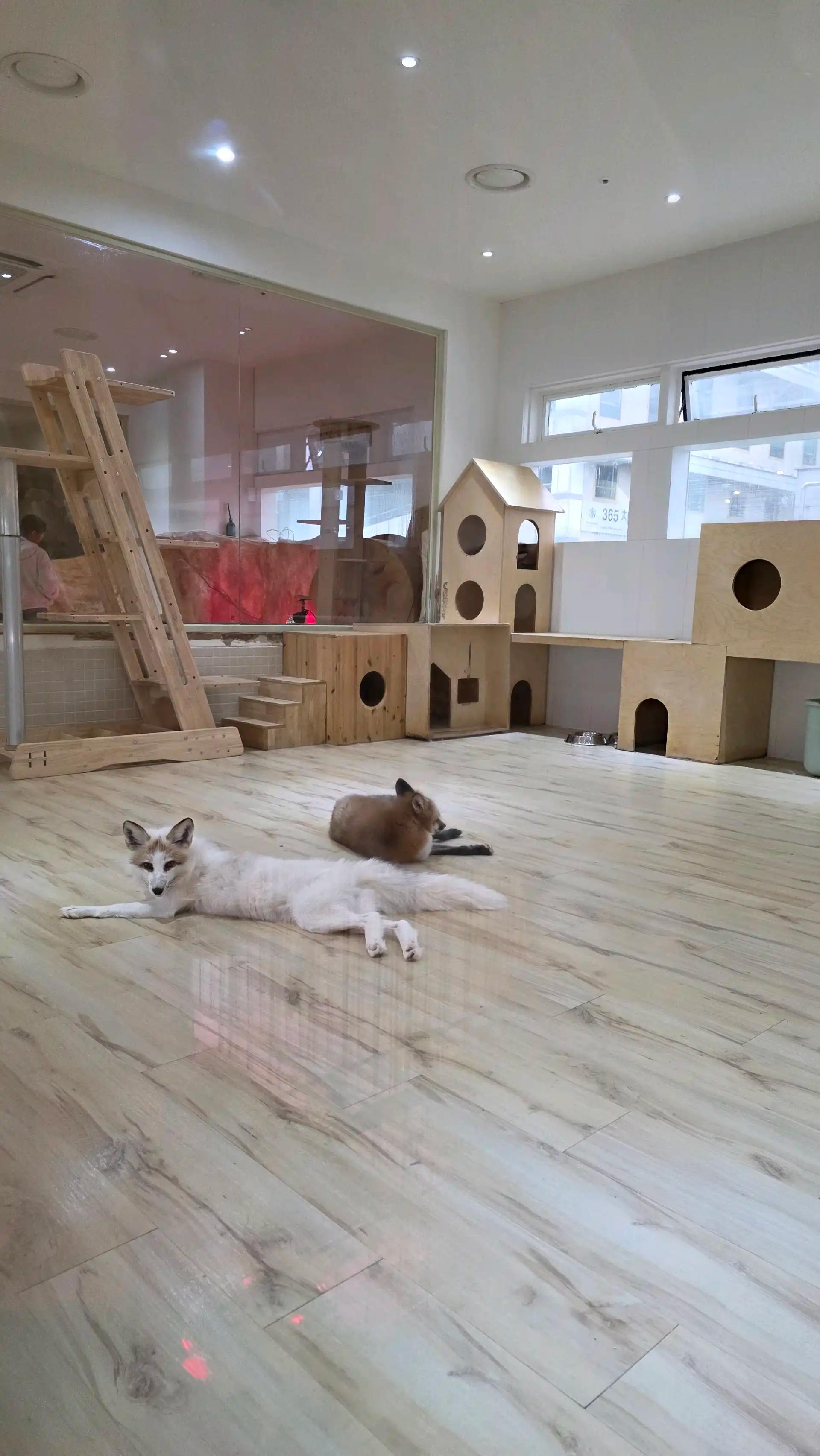 크루톡 이미지 2