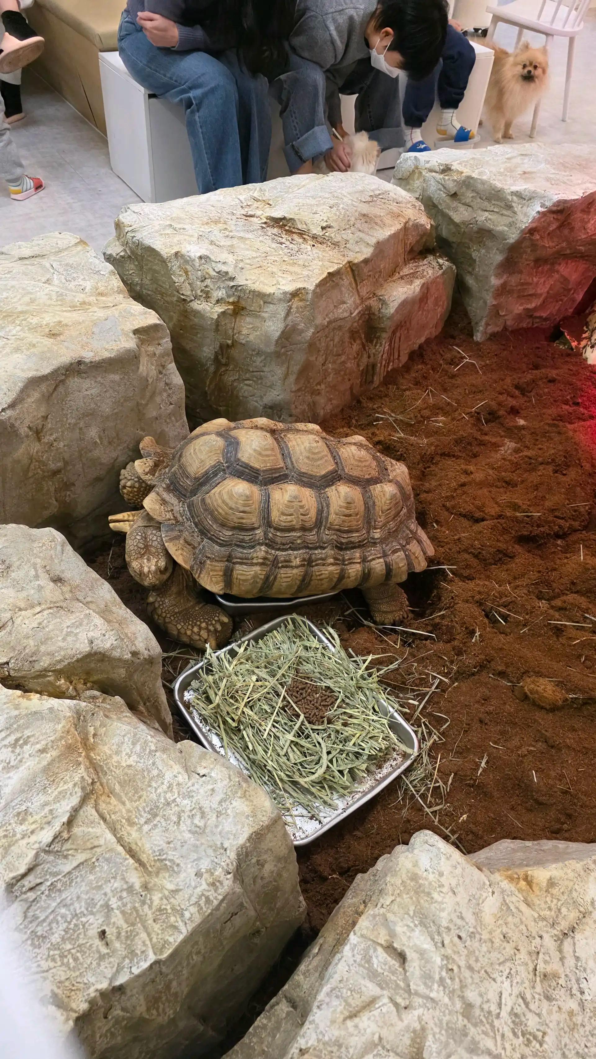 크루톡 이미지 3