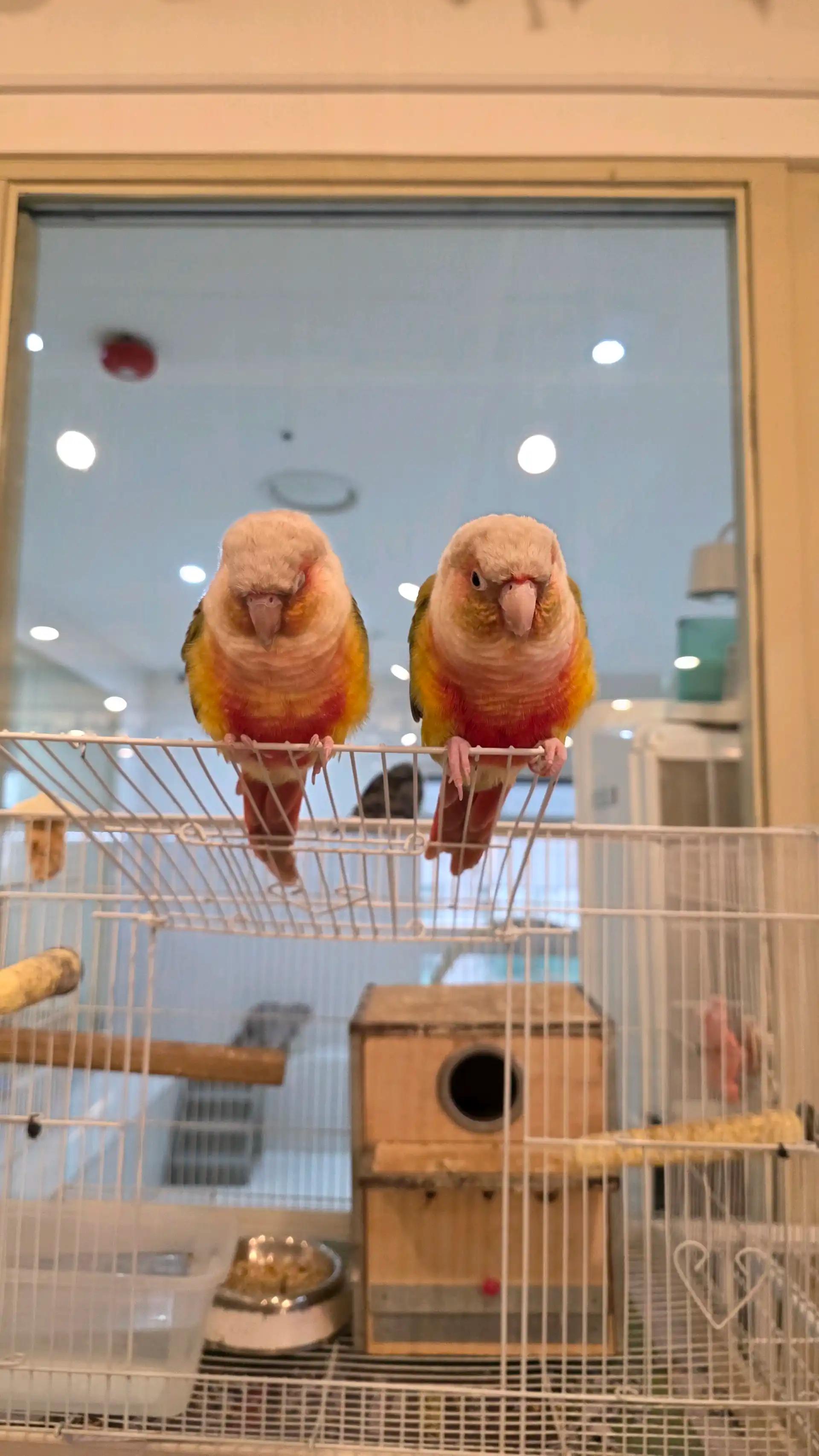 크루톡 이미지 4