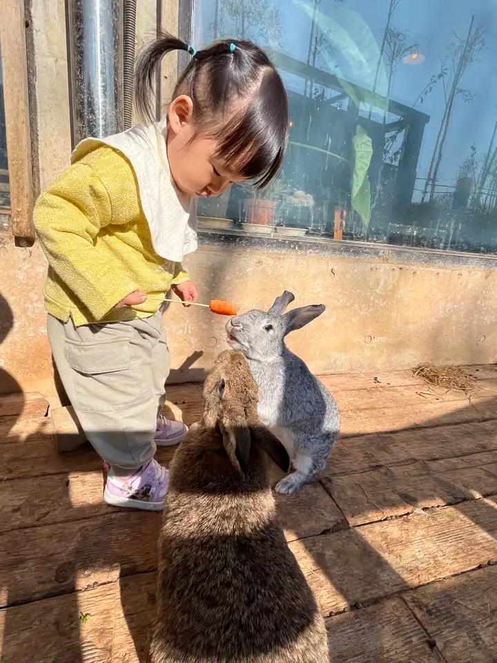 크루톡 이미지 3