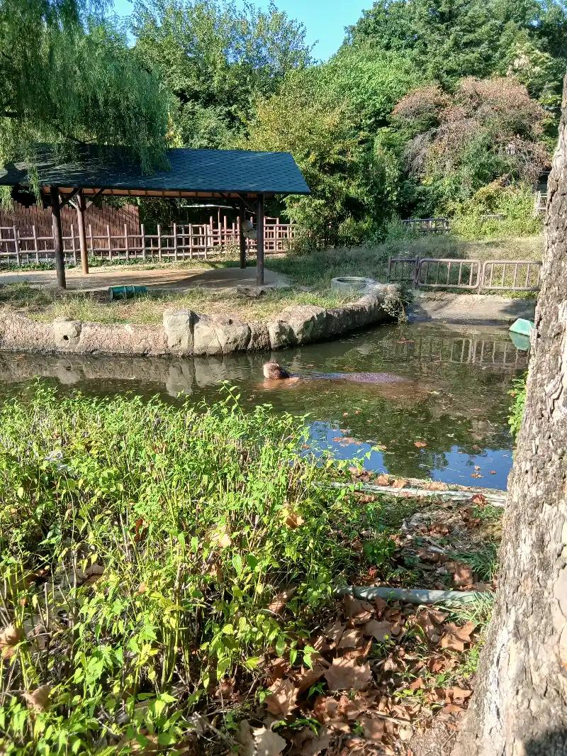 크루톡 이미지 3