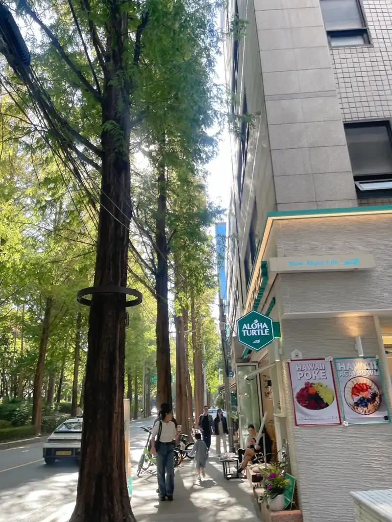 크루톡 이미지 2