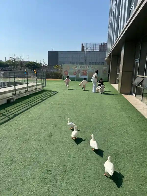 크루톡 이미지 1