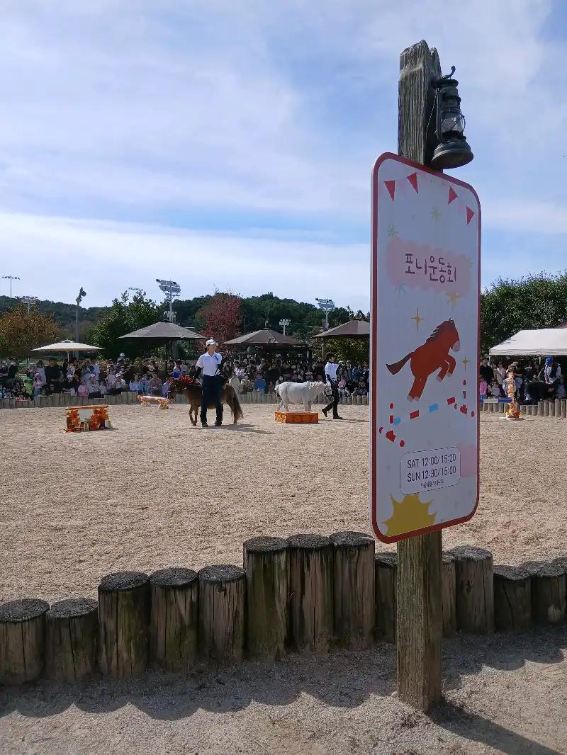 크루톡 이미지 1