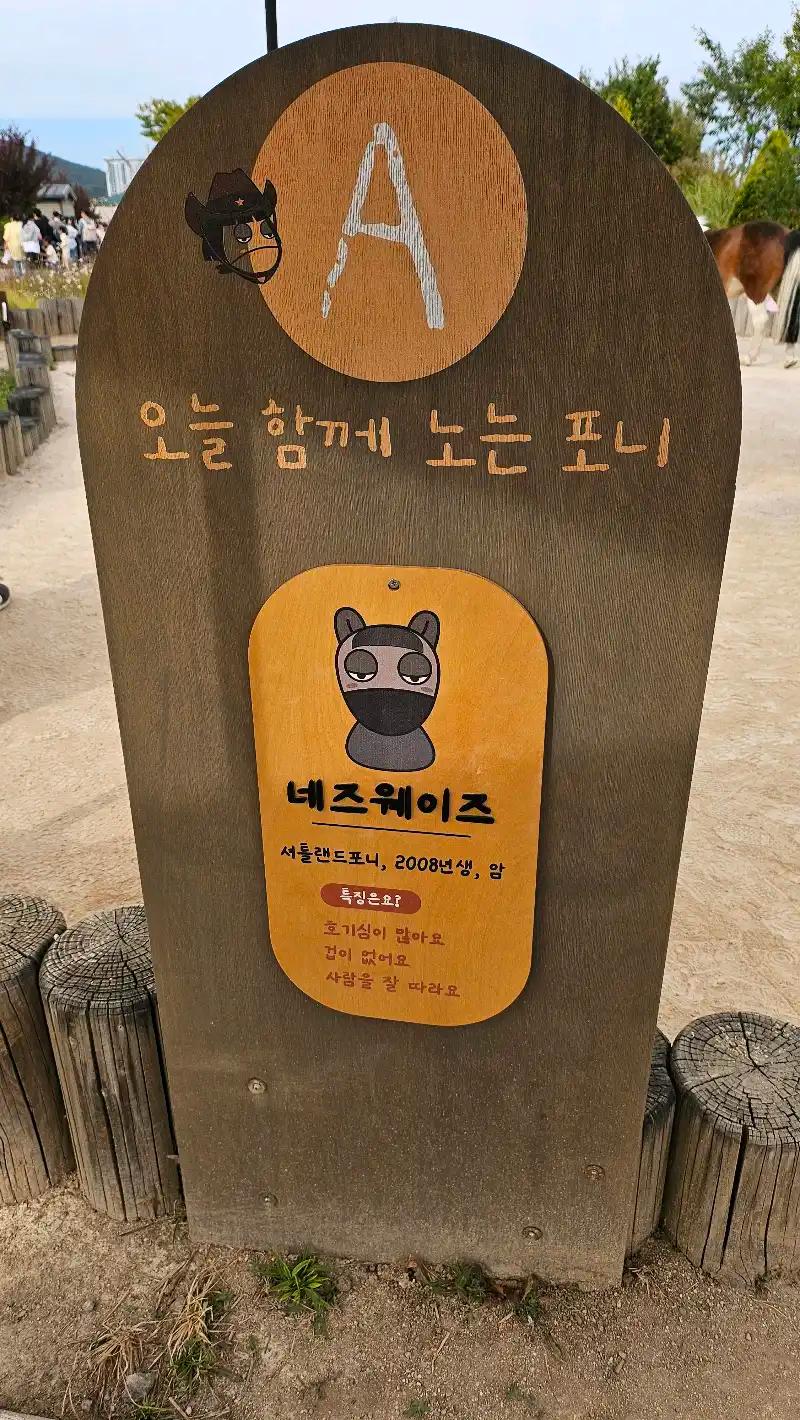 크루톡 이미지 4