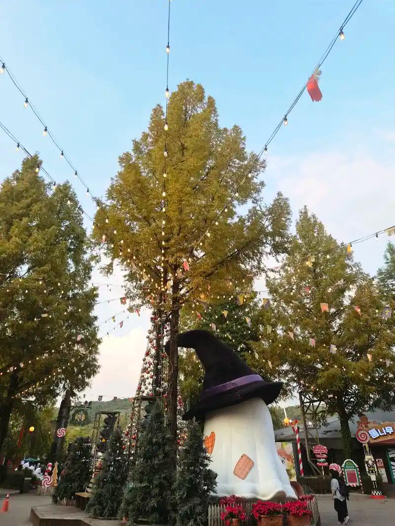 크루톡 이미지 3