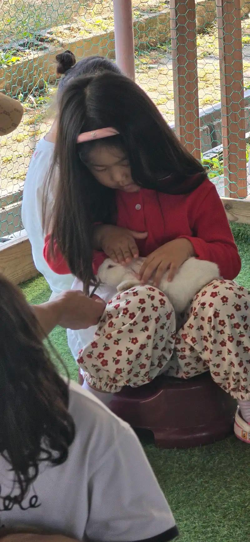 크루톡 이미지 2