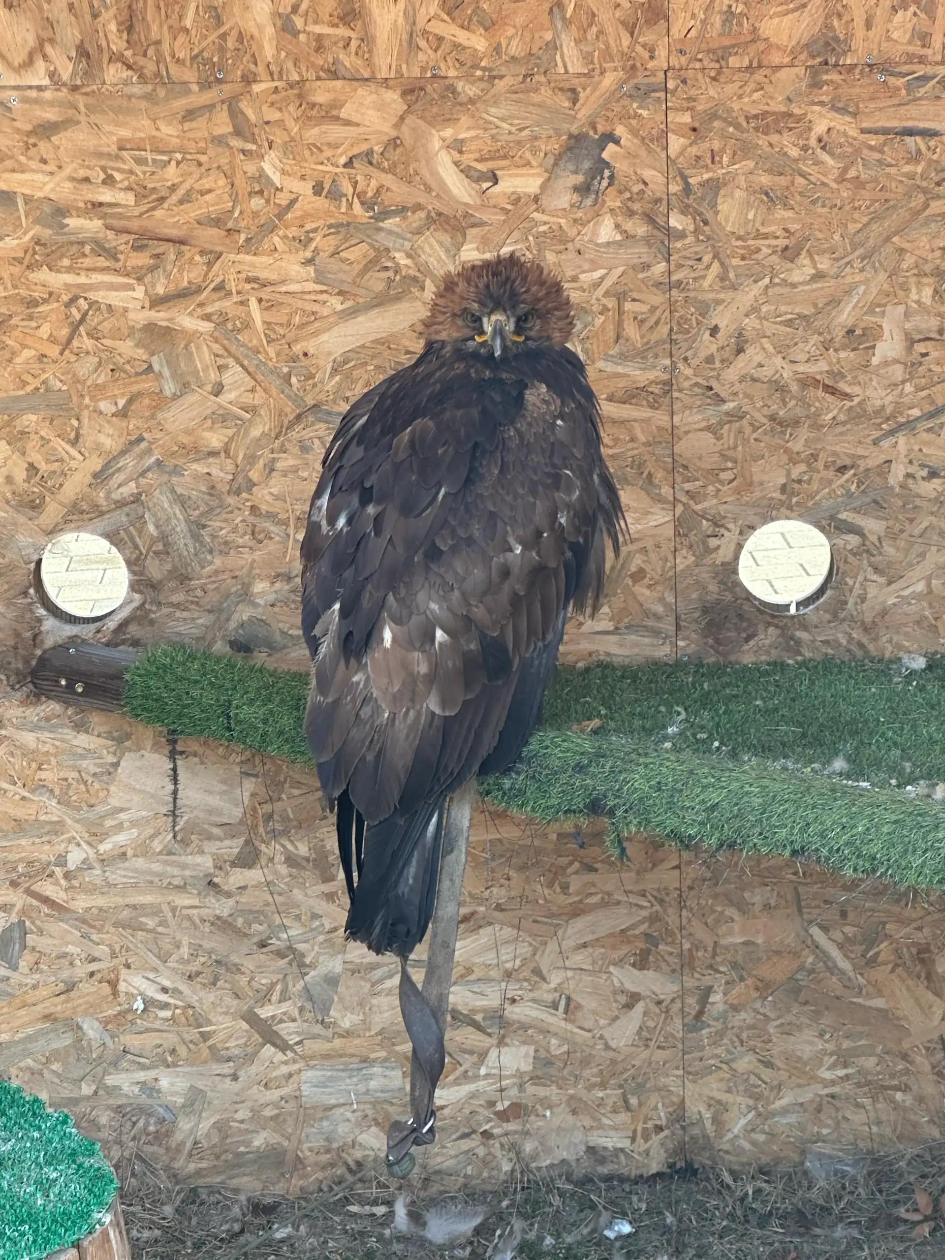 크루톡 이미지 2