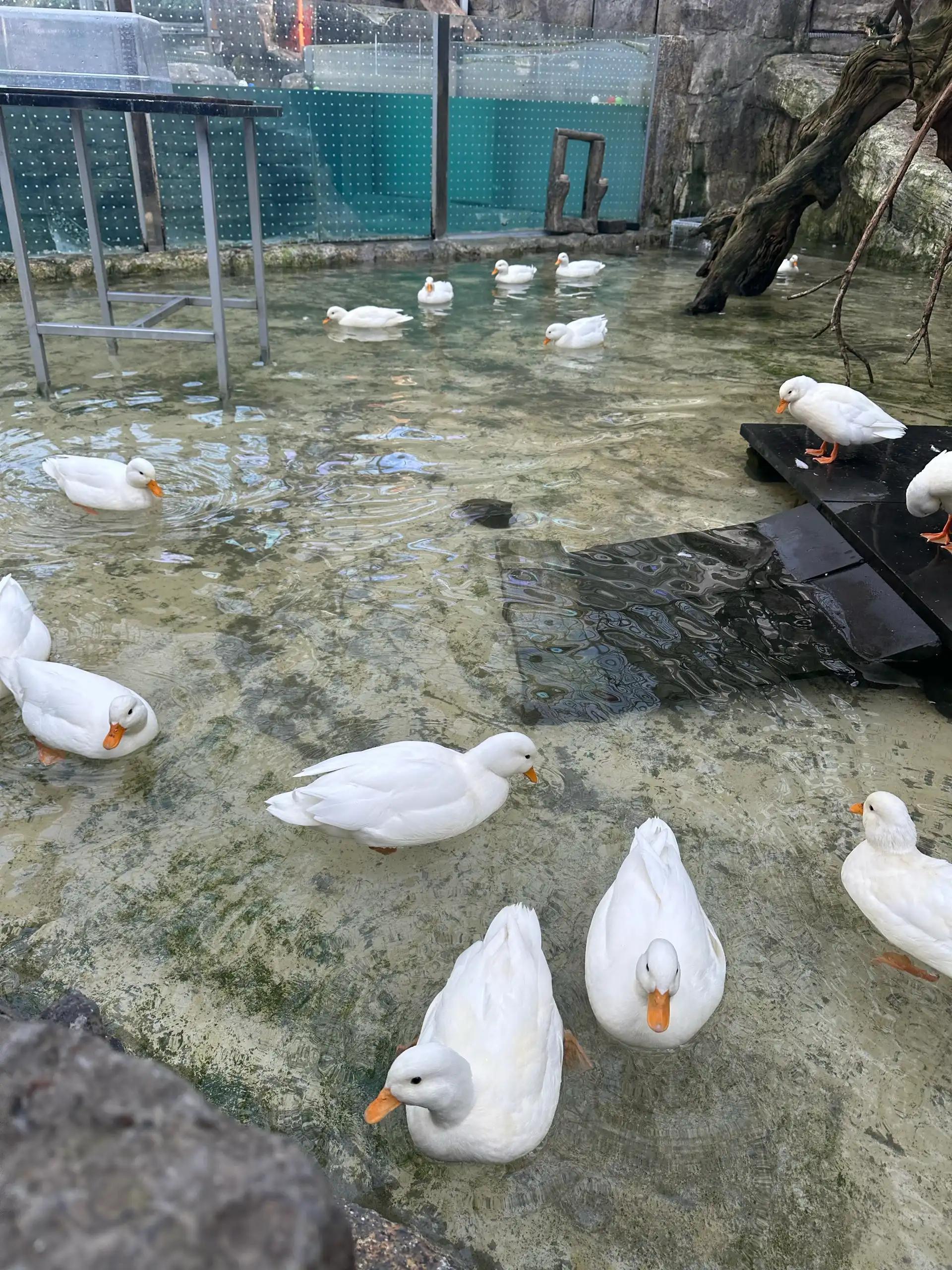 크루톡 이미지 3