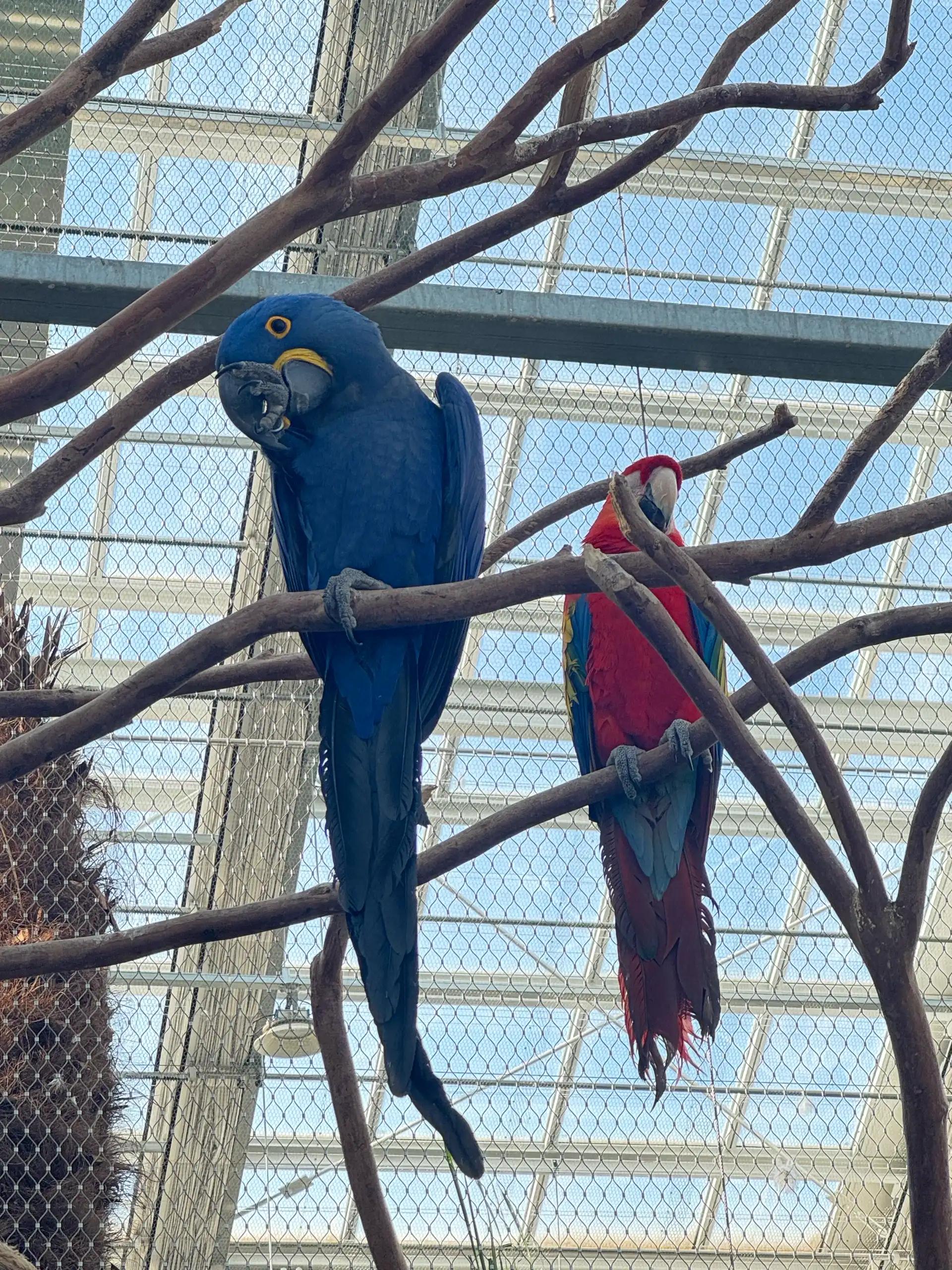 크루톡 이미지 6