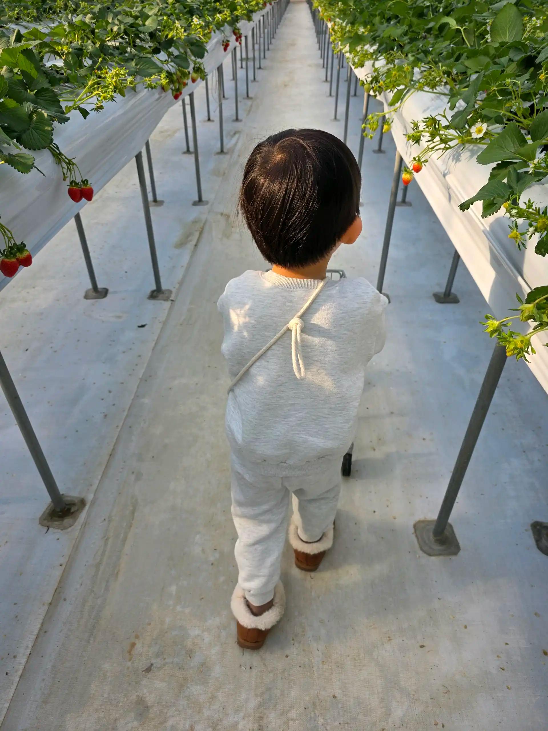 크루톡 이미지 1